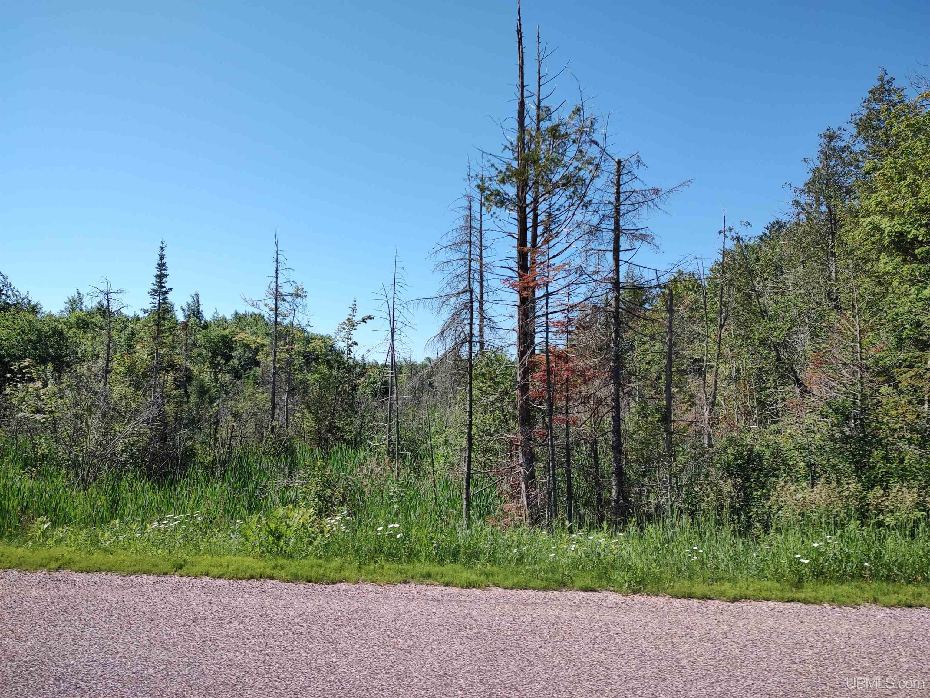 TBD 80 acres Traunik Rd