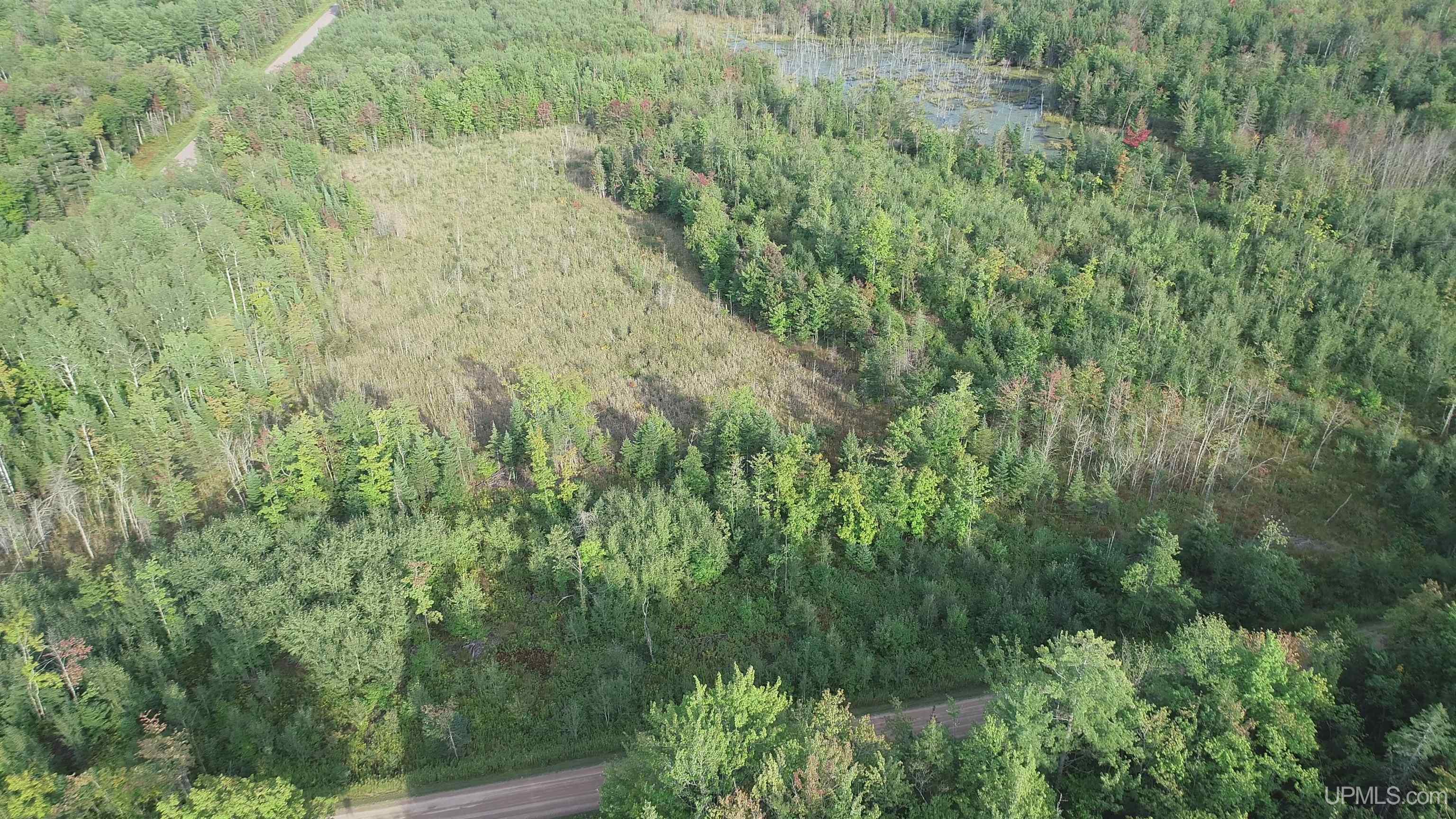 TBD 80 acres Traunik Rd