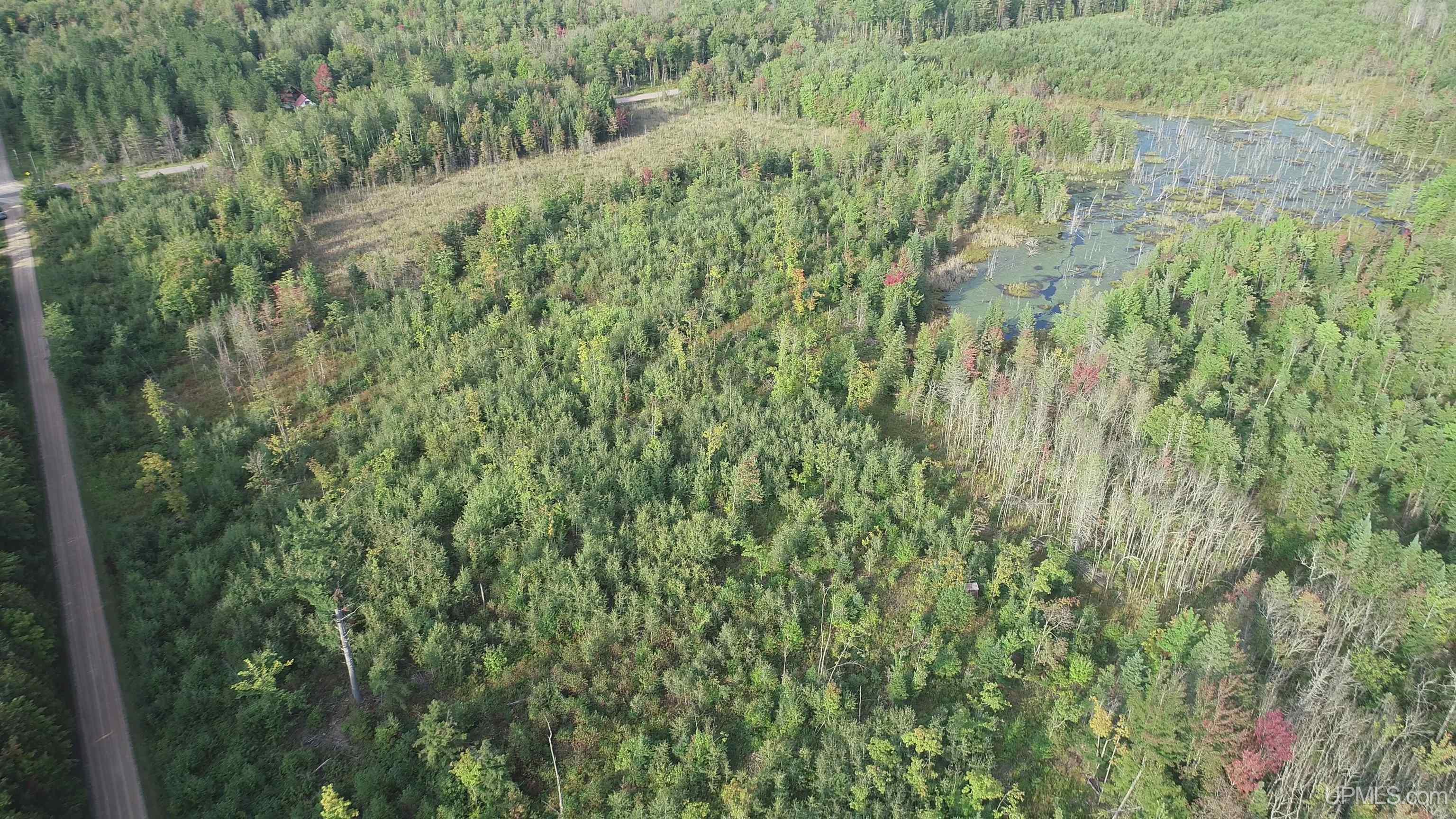 TBD 80 acres Traunik Rd