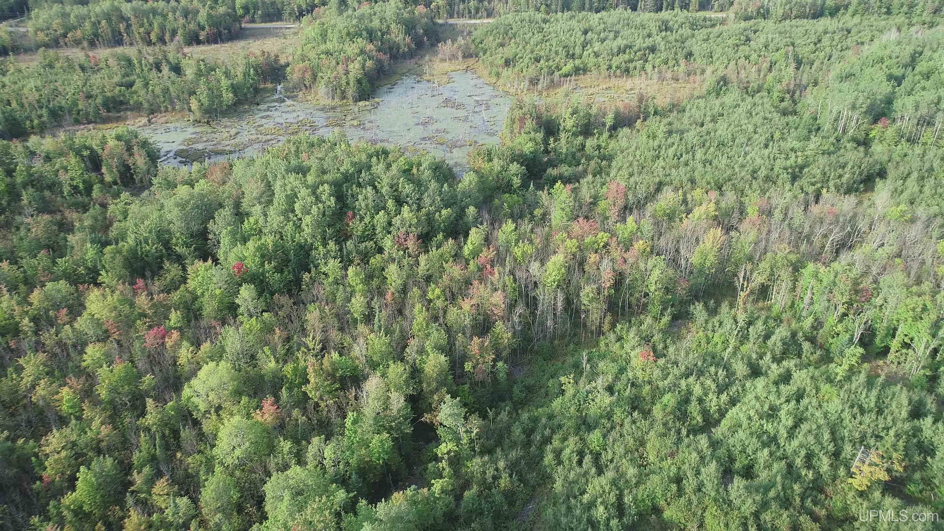 TBD 80 acres Traunik Rd