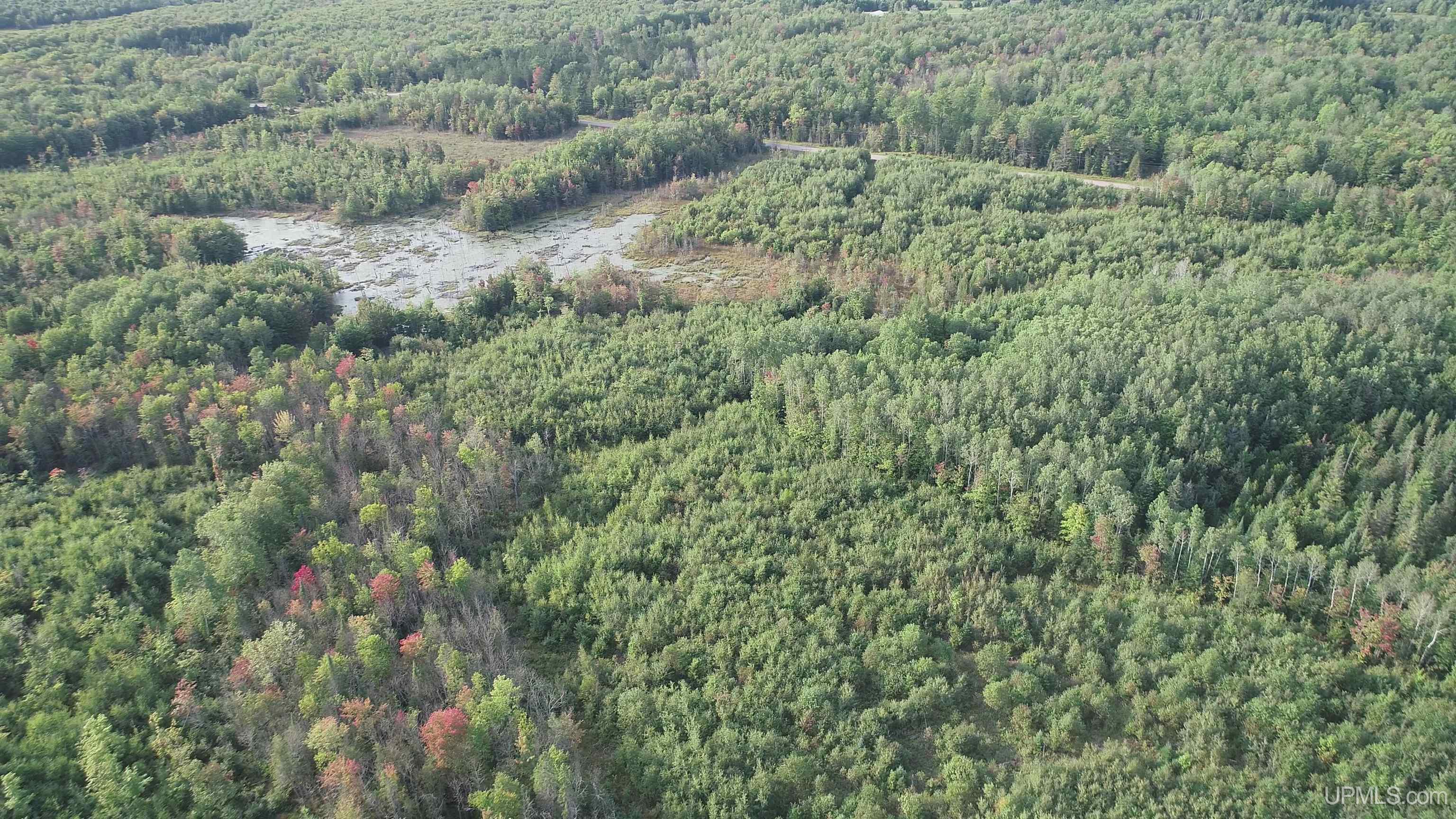 TBD 80 acres Traunik Rd