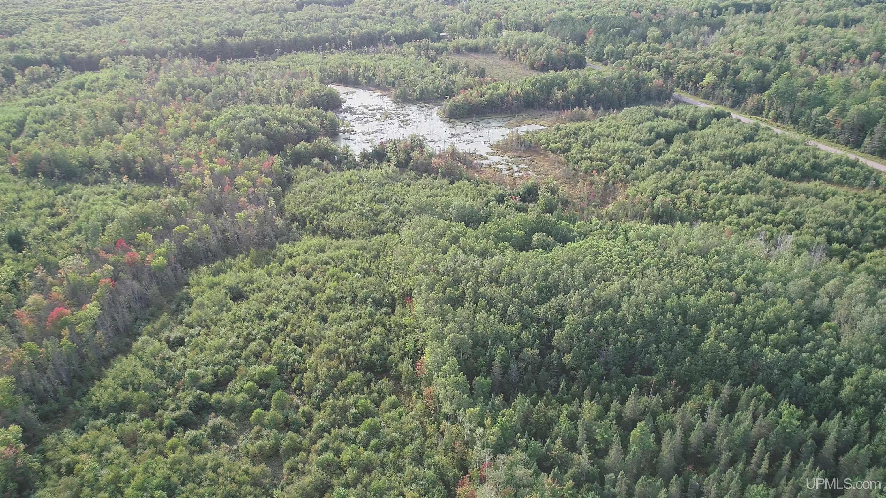 TBD 80 acres Traunik Rd