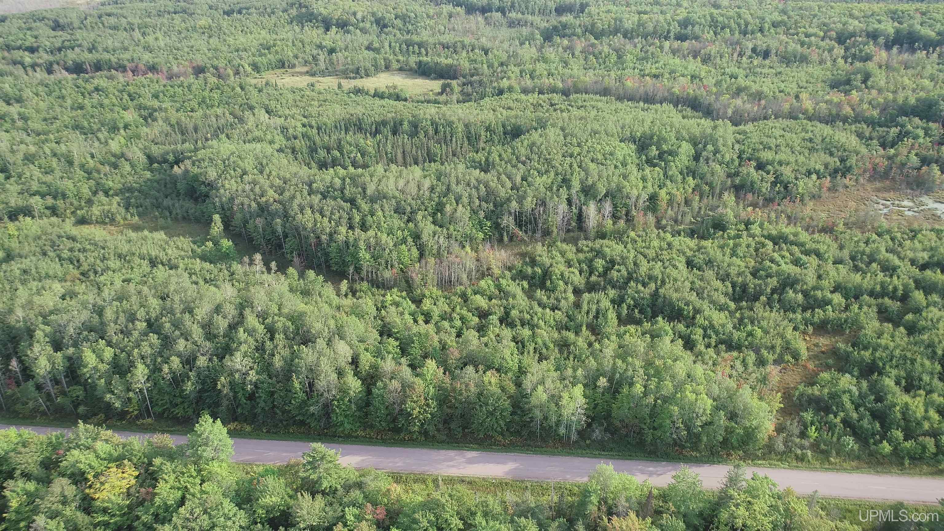TBD 80 acres Traunik Rd