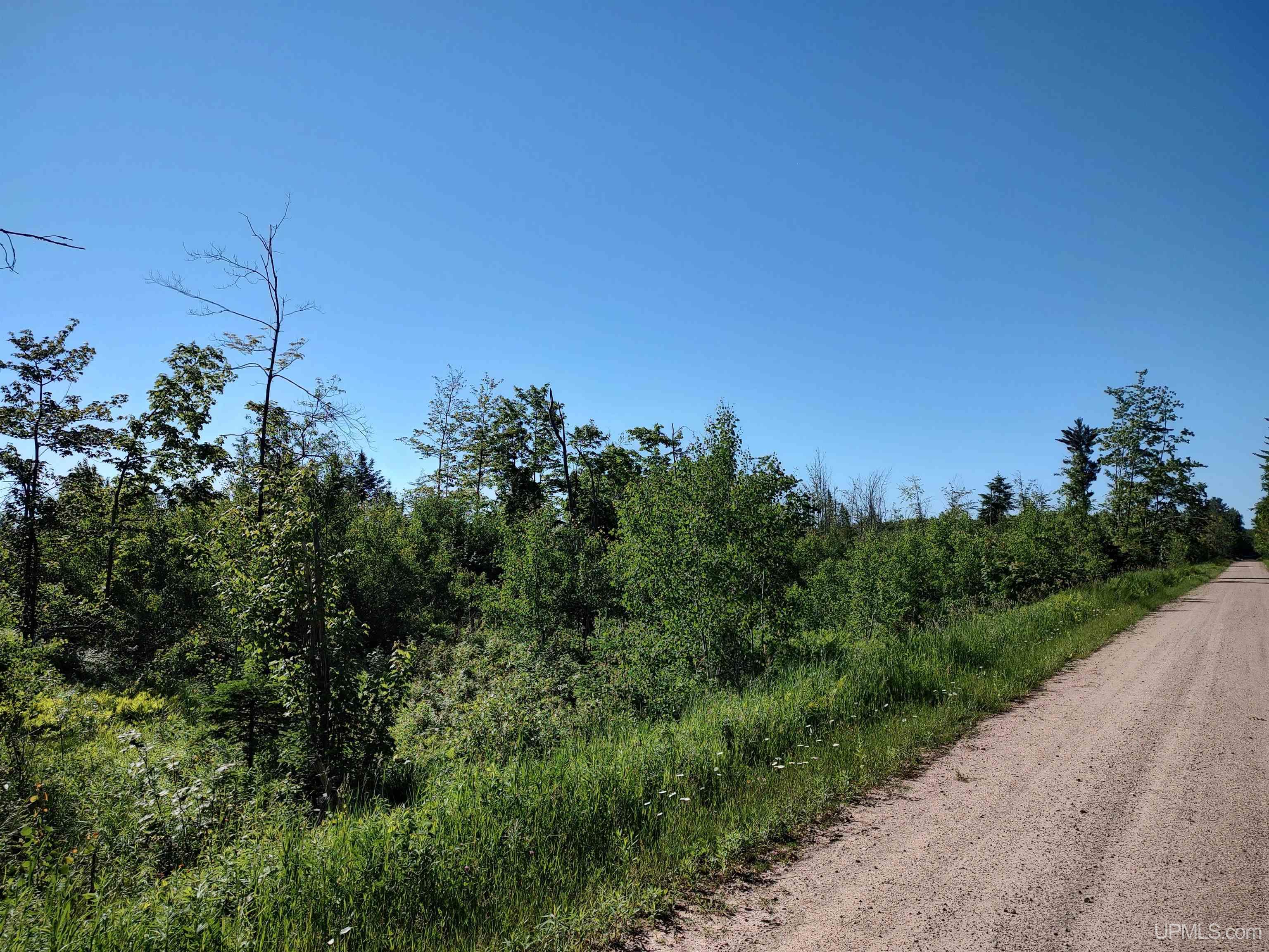 TBD 80 acres Traunik Rd