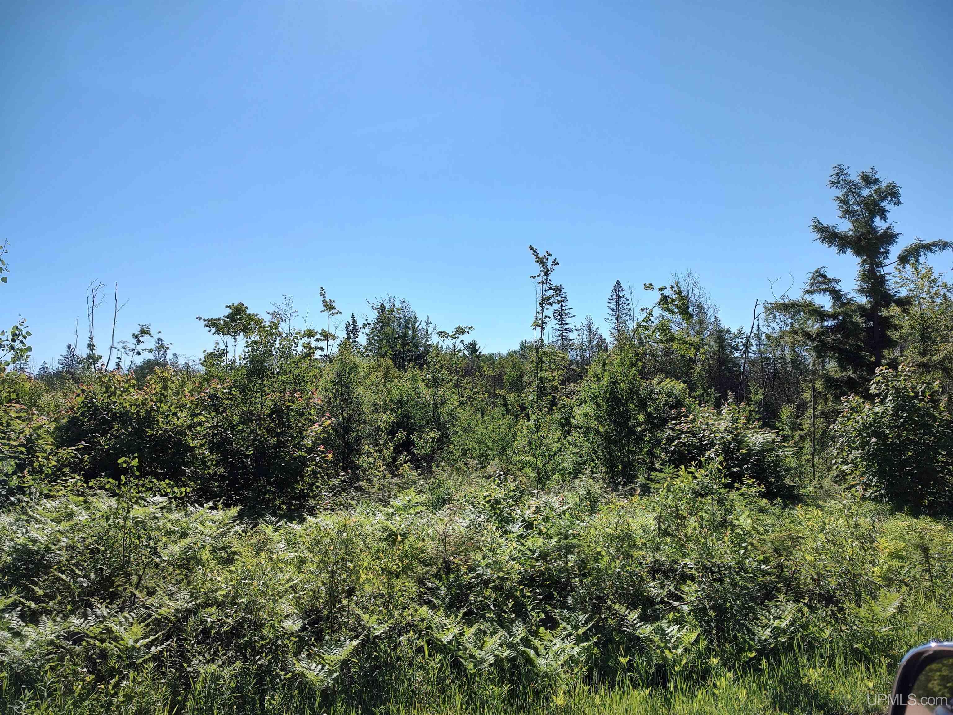 TBD 80 acres Traunik Rd