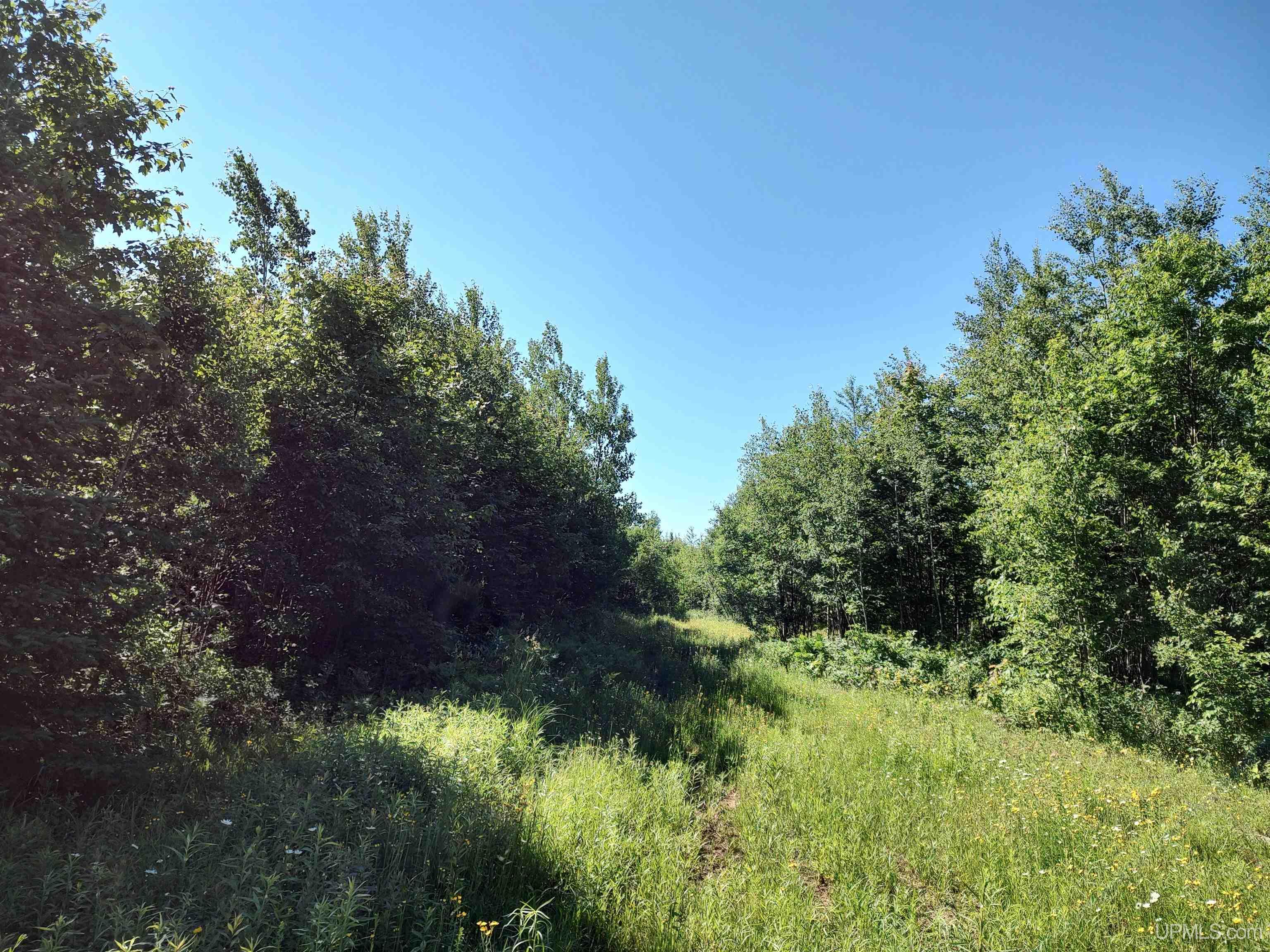 TBD 80 acres Traunik Rd