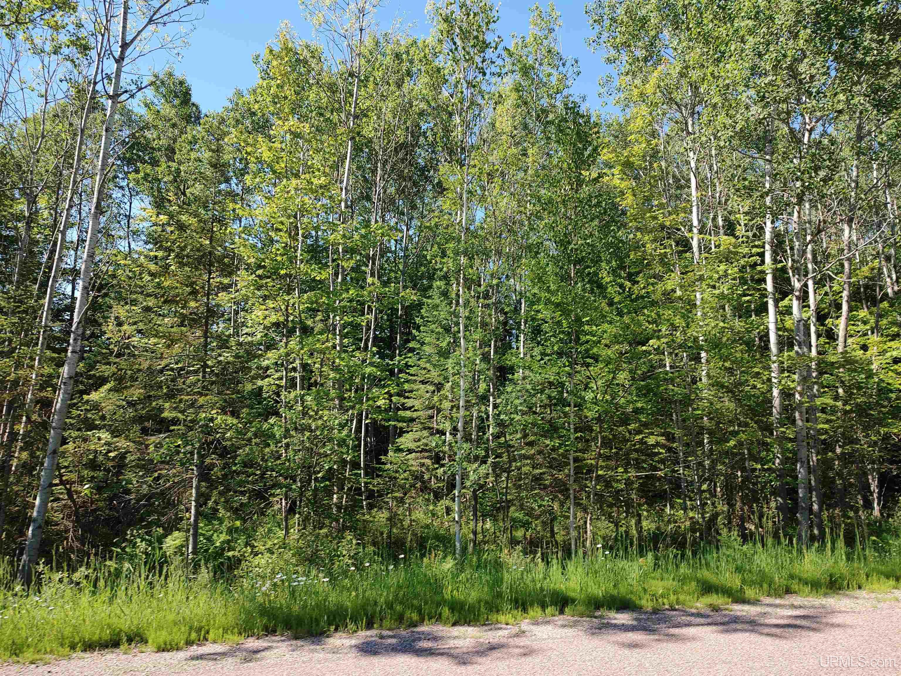 TBD 80 acres Traunik Rd
