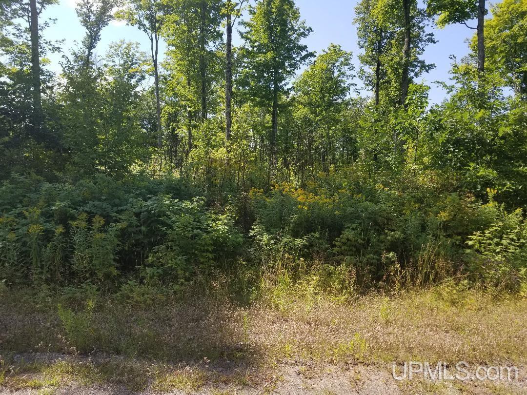 Land Listing MLS Number 50089349