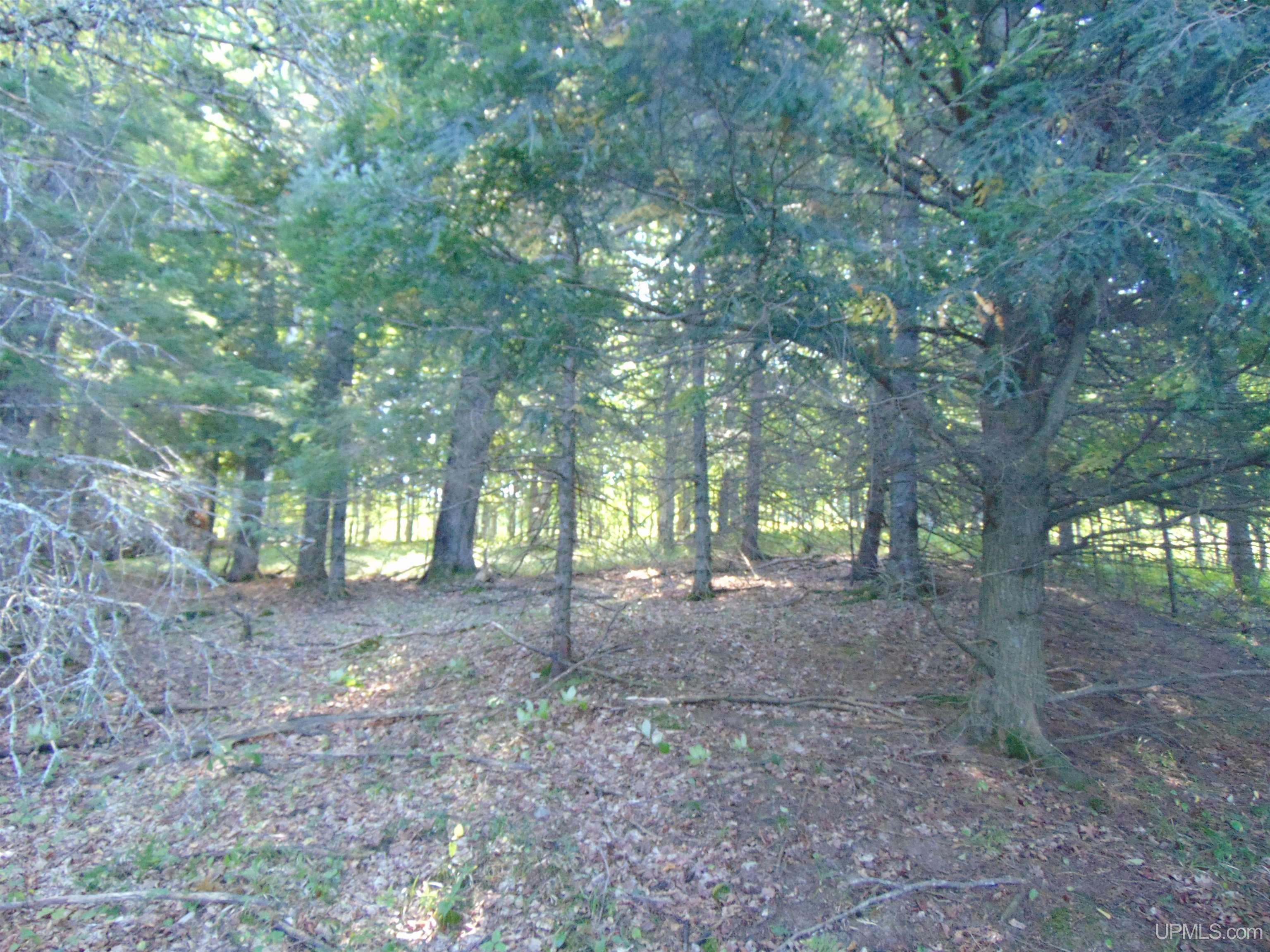 TBD Lot L Wildwood Lake Rd