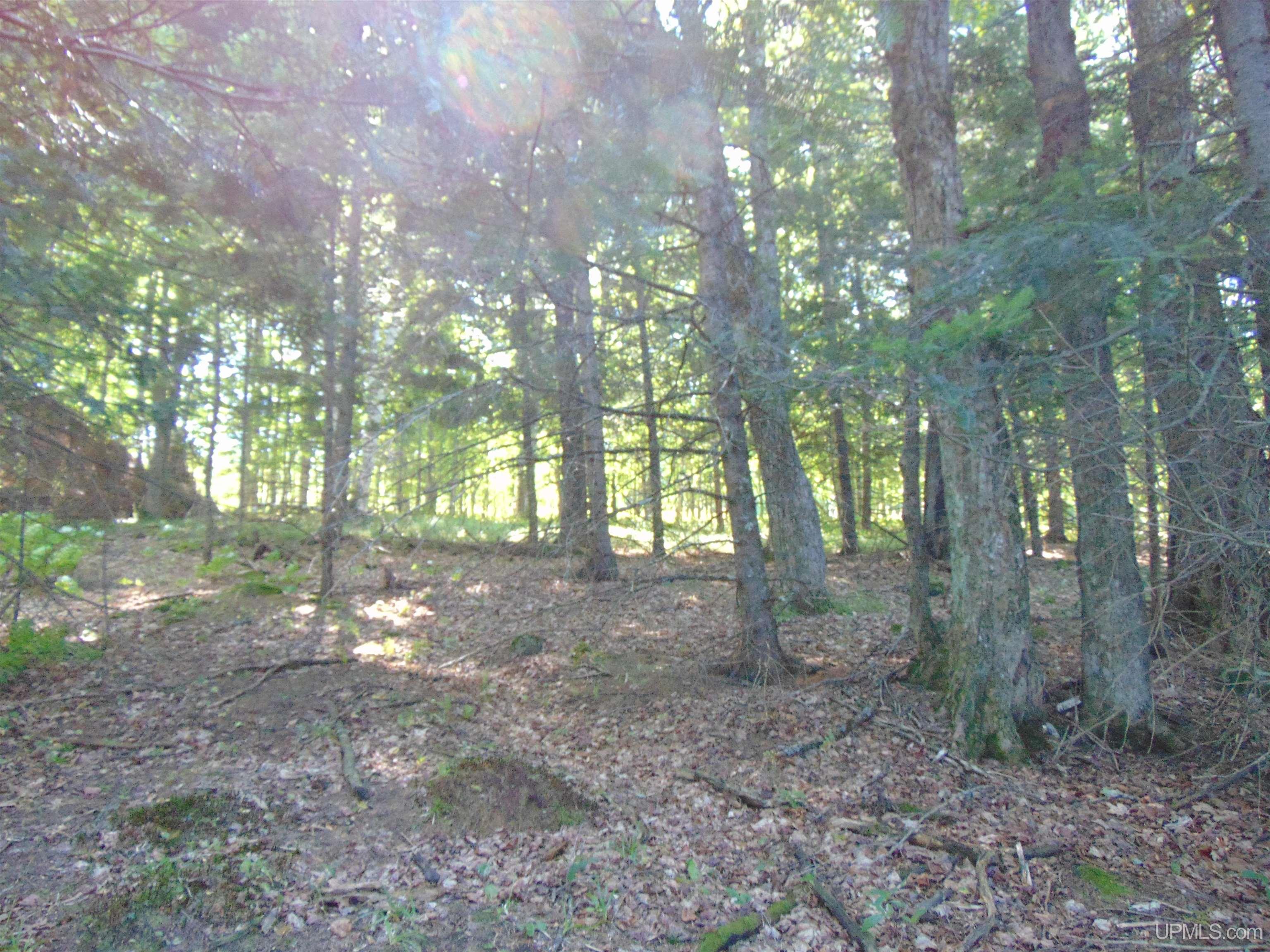 TBD Lot L Wildwood Lake Rd