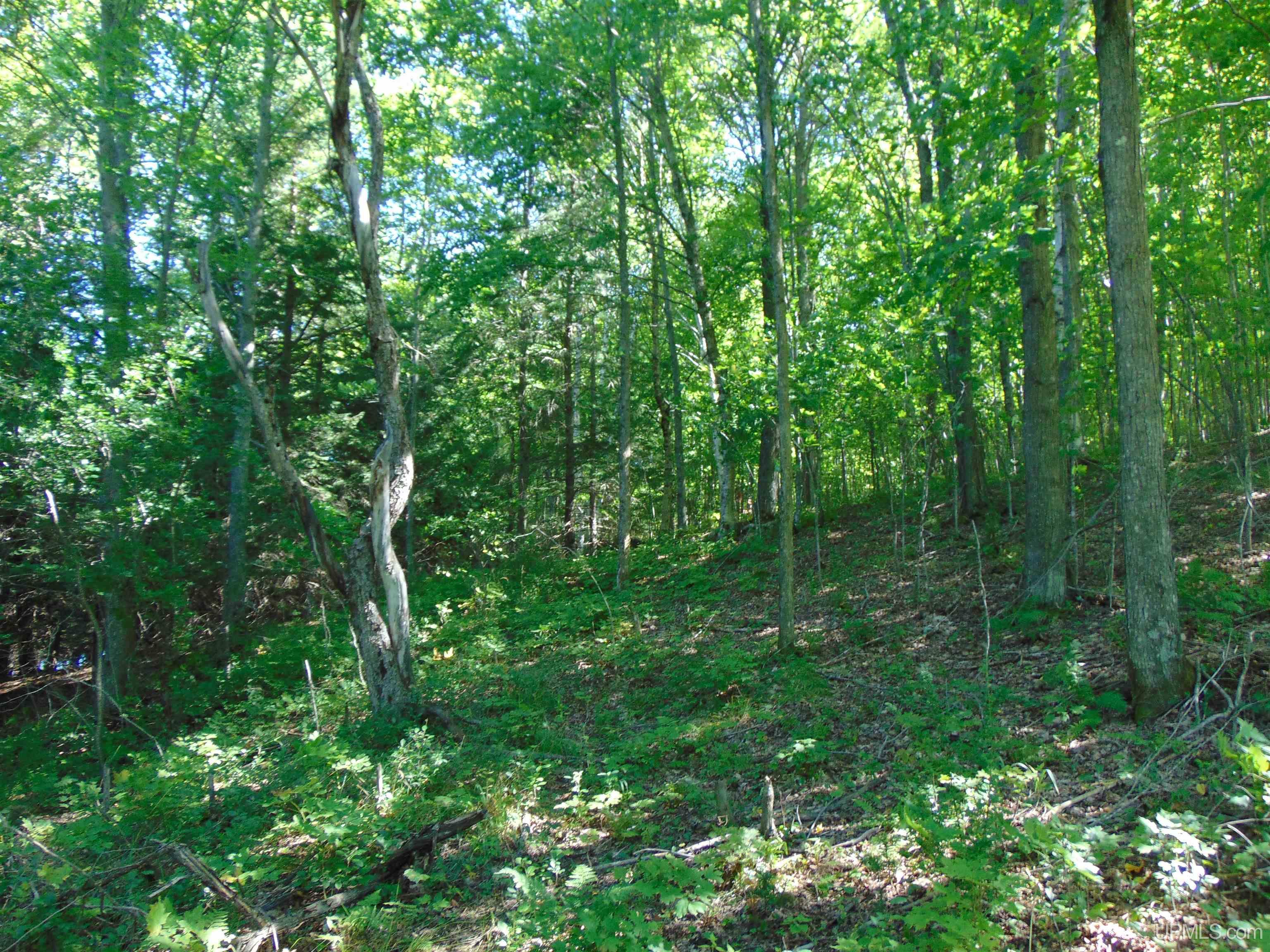 TBD Lot L Wildwood Lake Rd