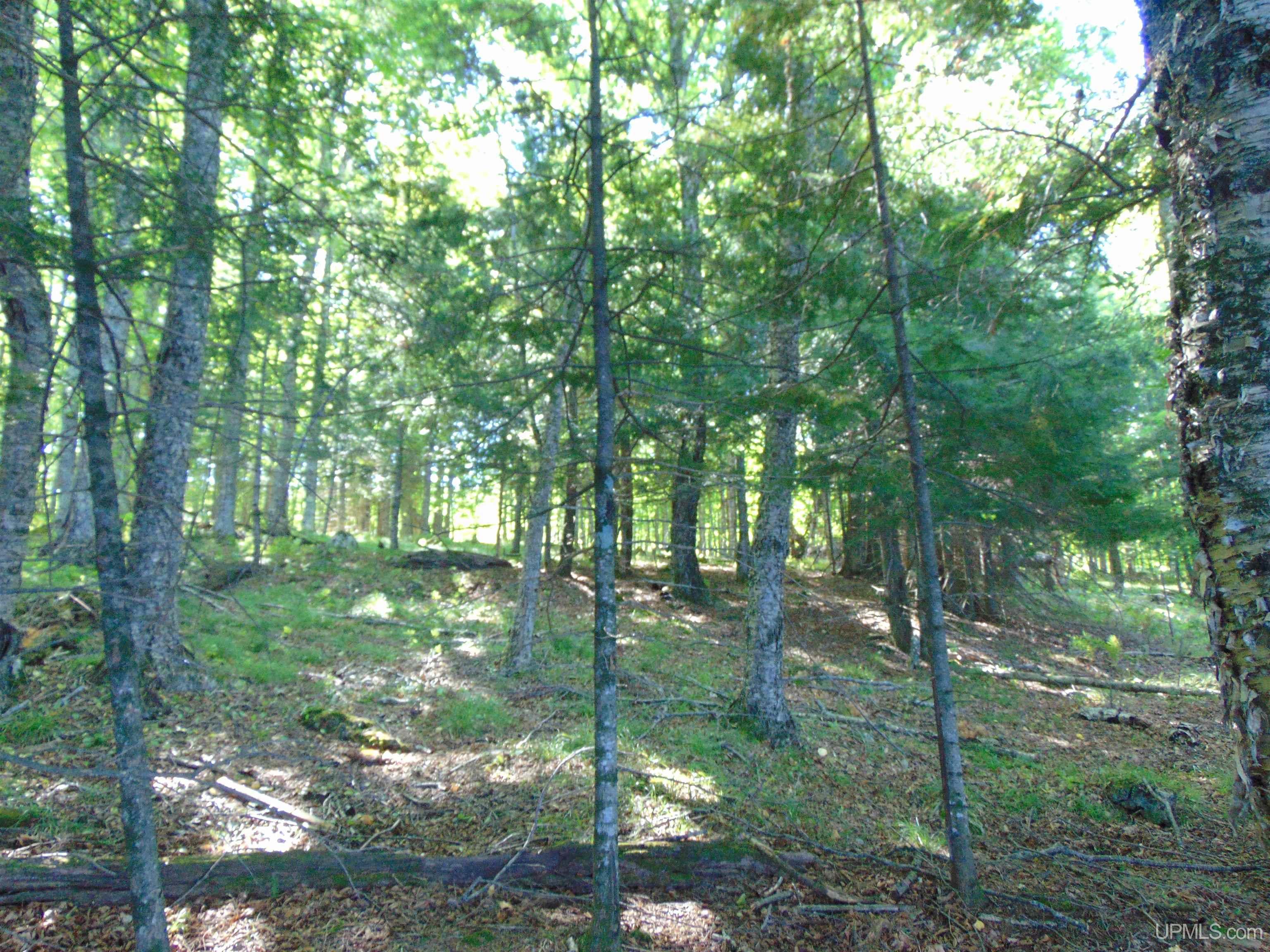 TBD Lot L Wildwood Lake Rd