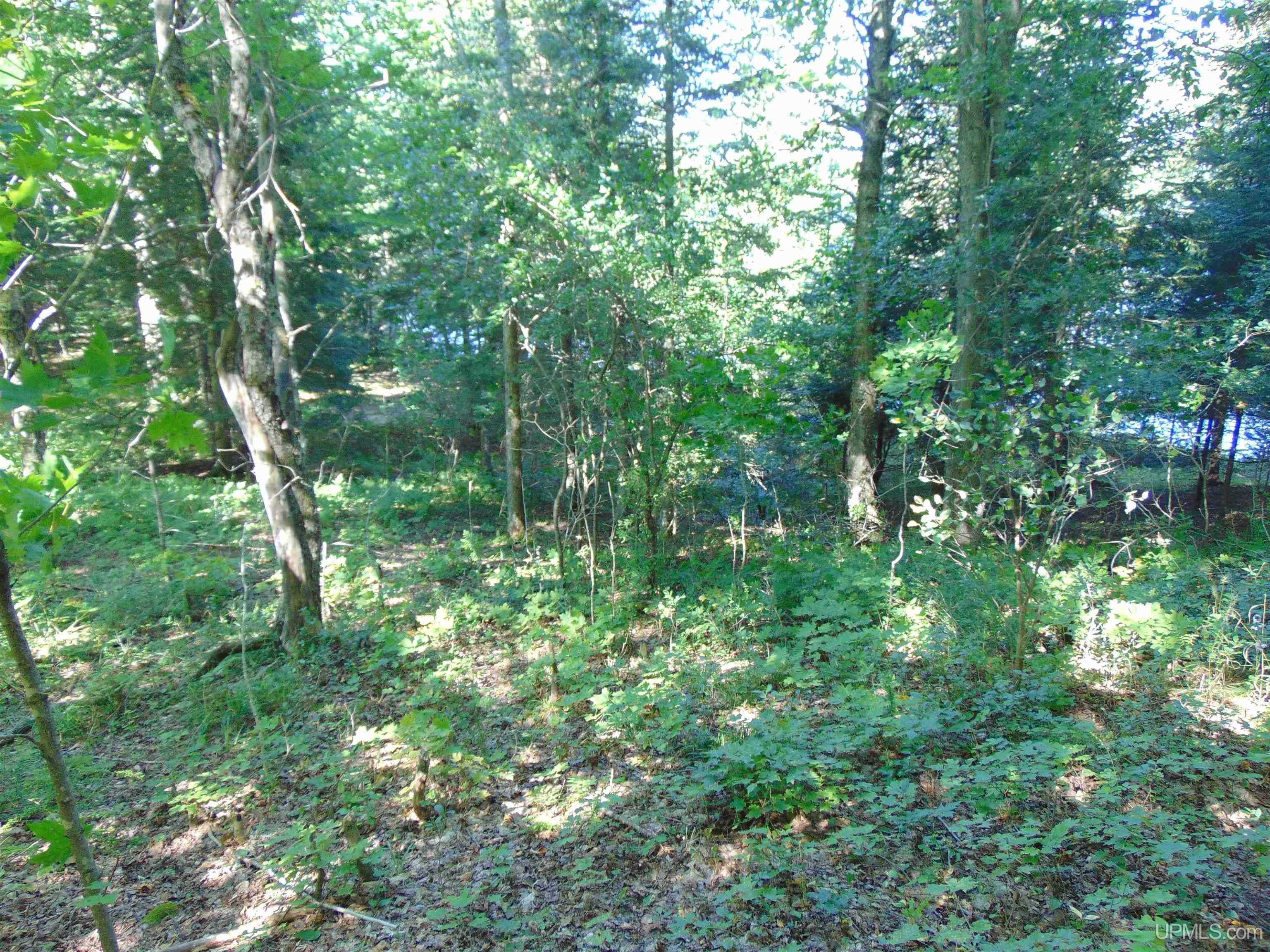 TBD Lot L Wildwood Lake Rd