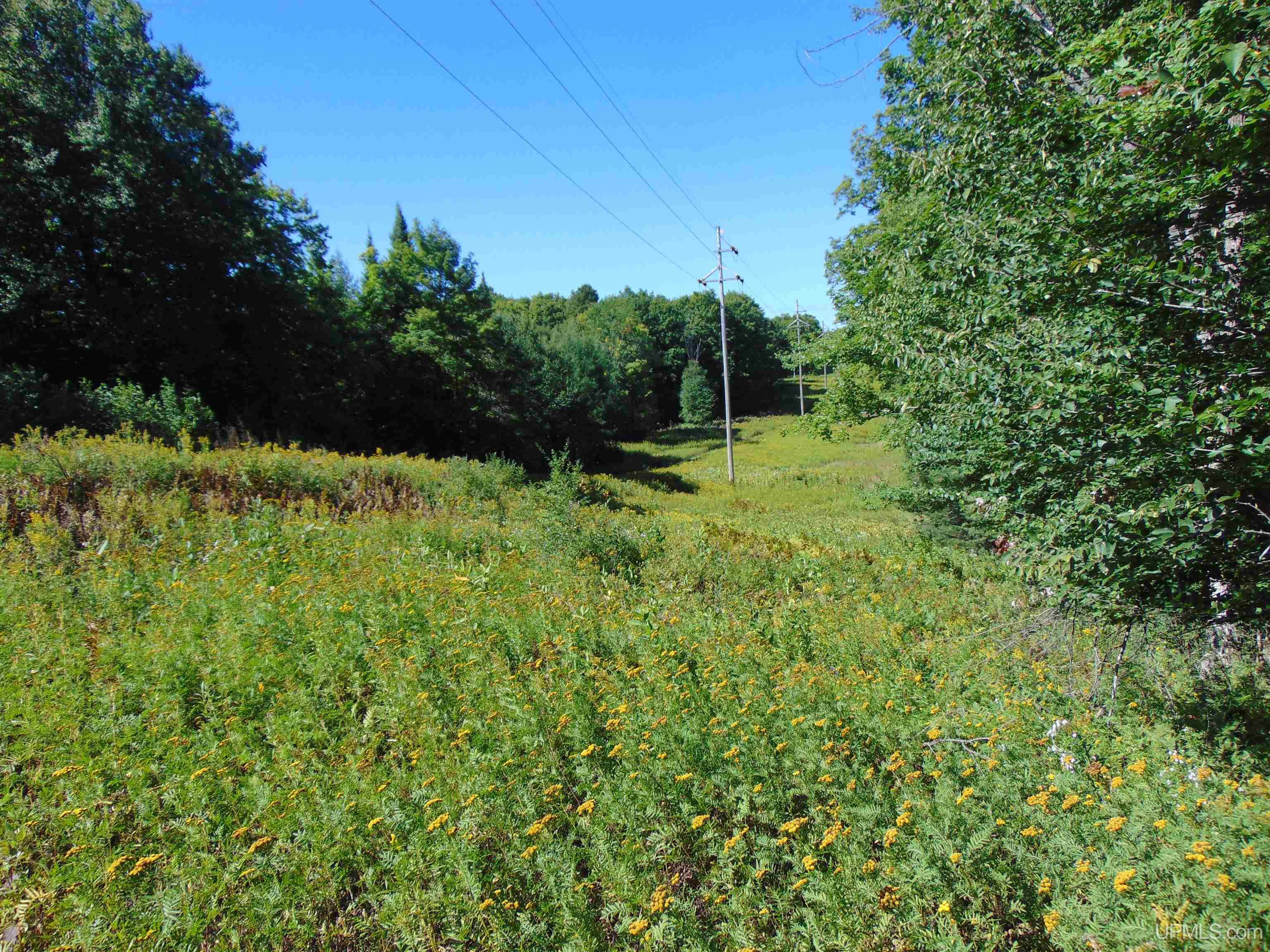 TBD Lot L Wildwood Lake Rd