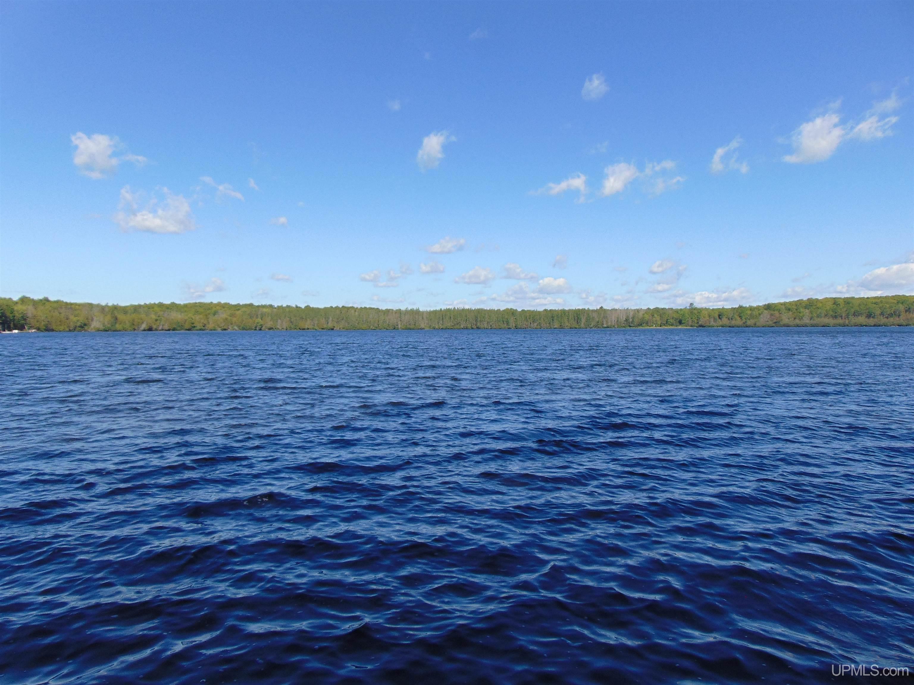 TBD Lot L Wildwood Lake Rd