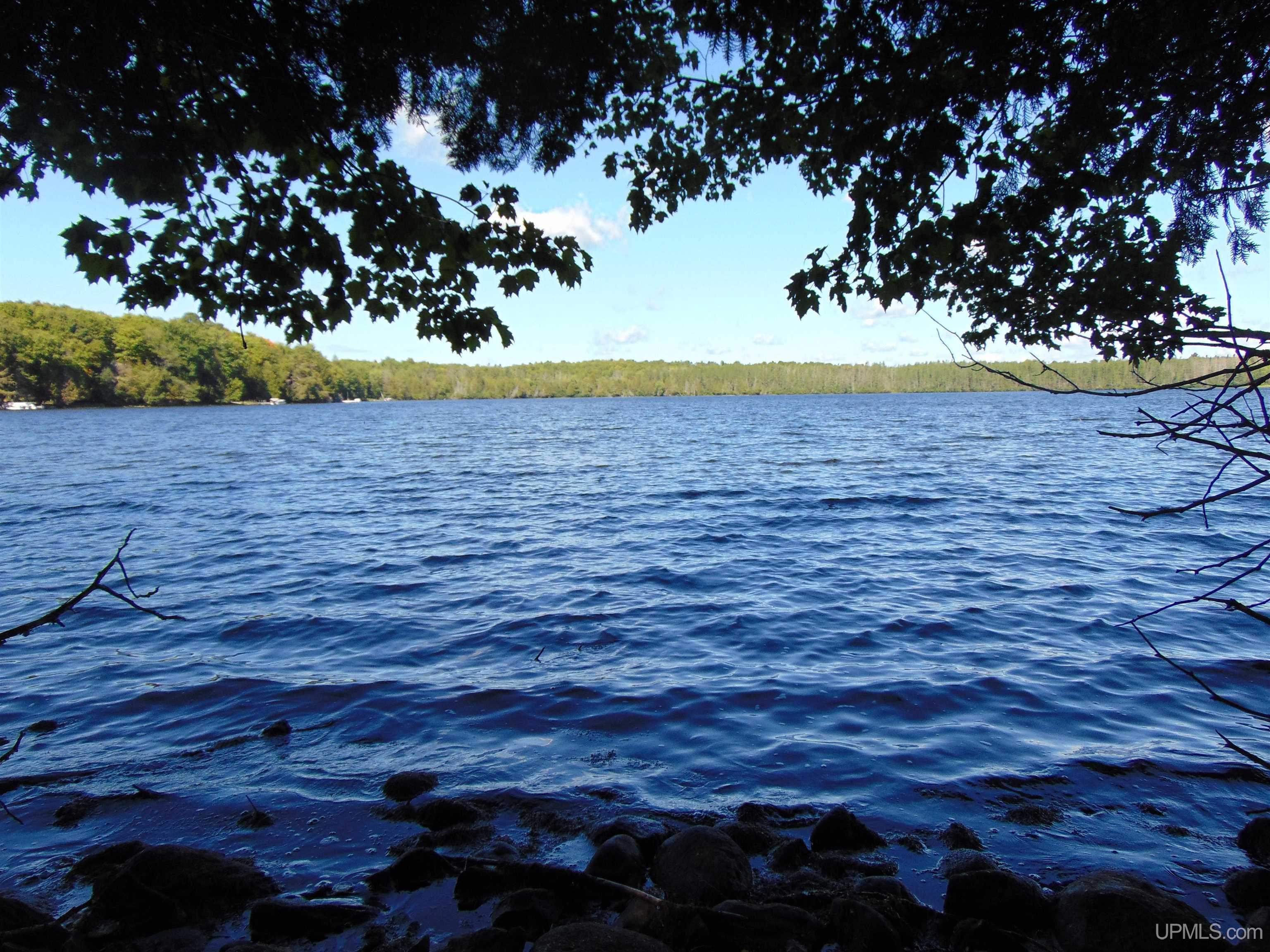 TBD Lot L Wildwood Lake Rd