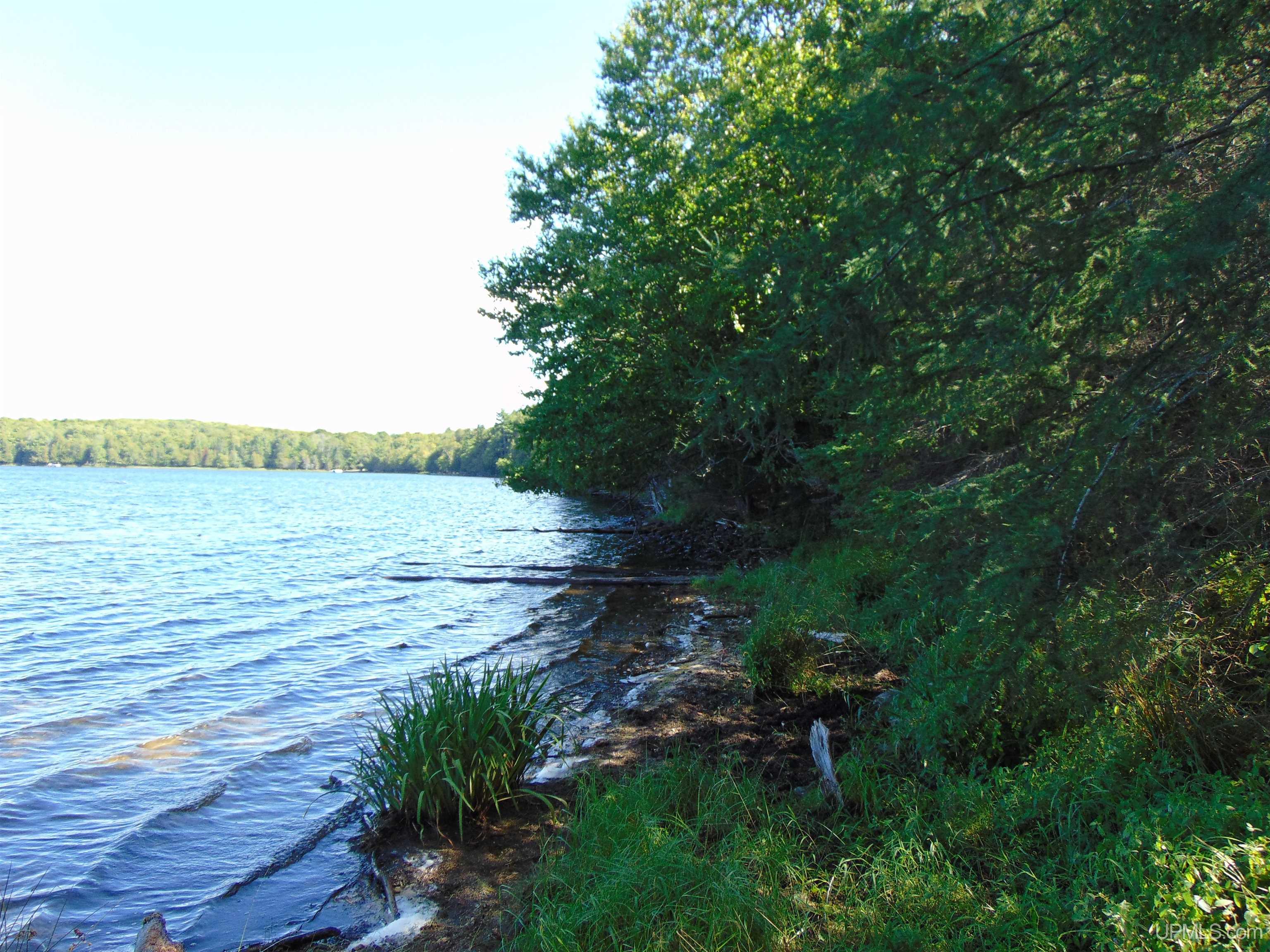TBD Lot L Wildwood Lake Rd