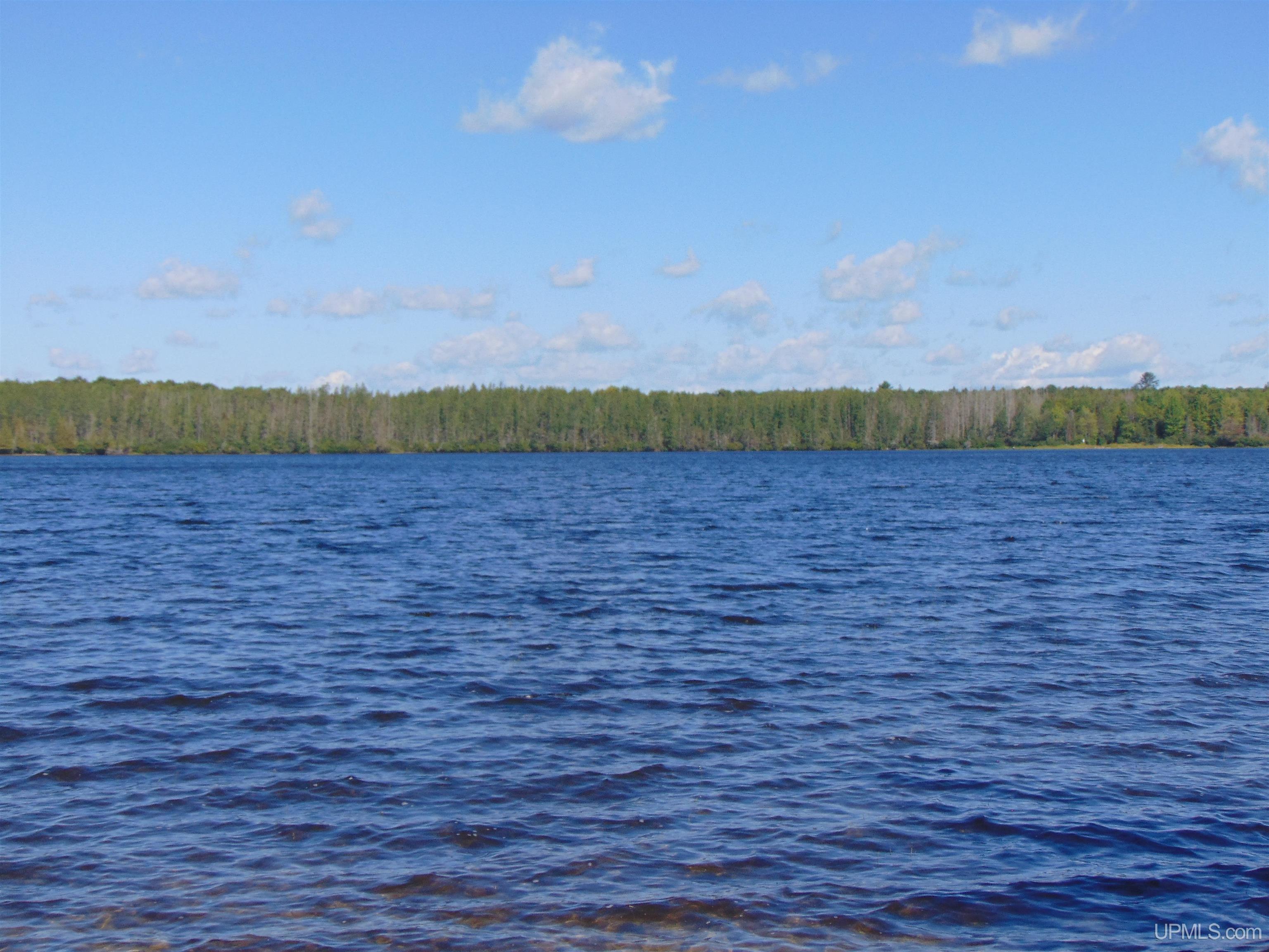 TBD Lot L Wildwood Lake Rd