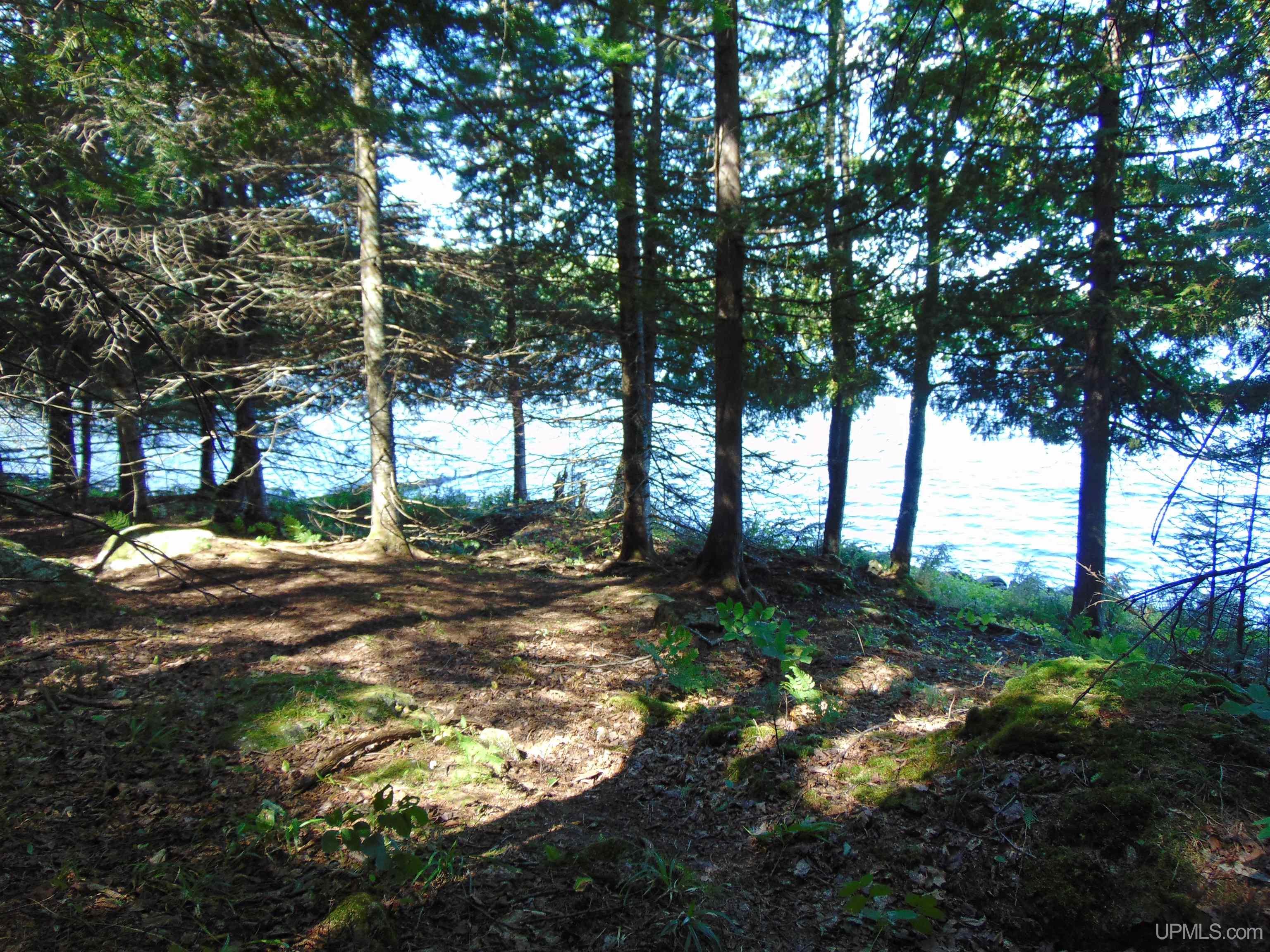 TBD Lot L Wildwood Lake Rd