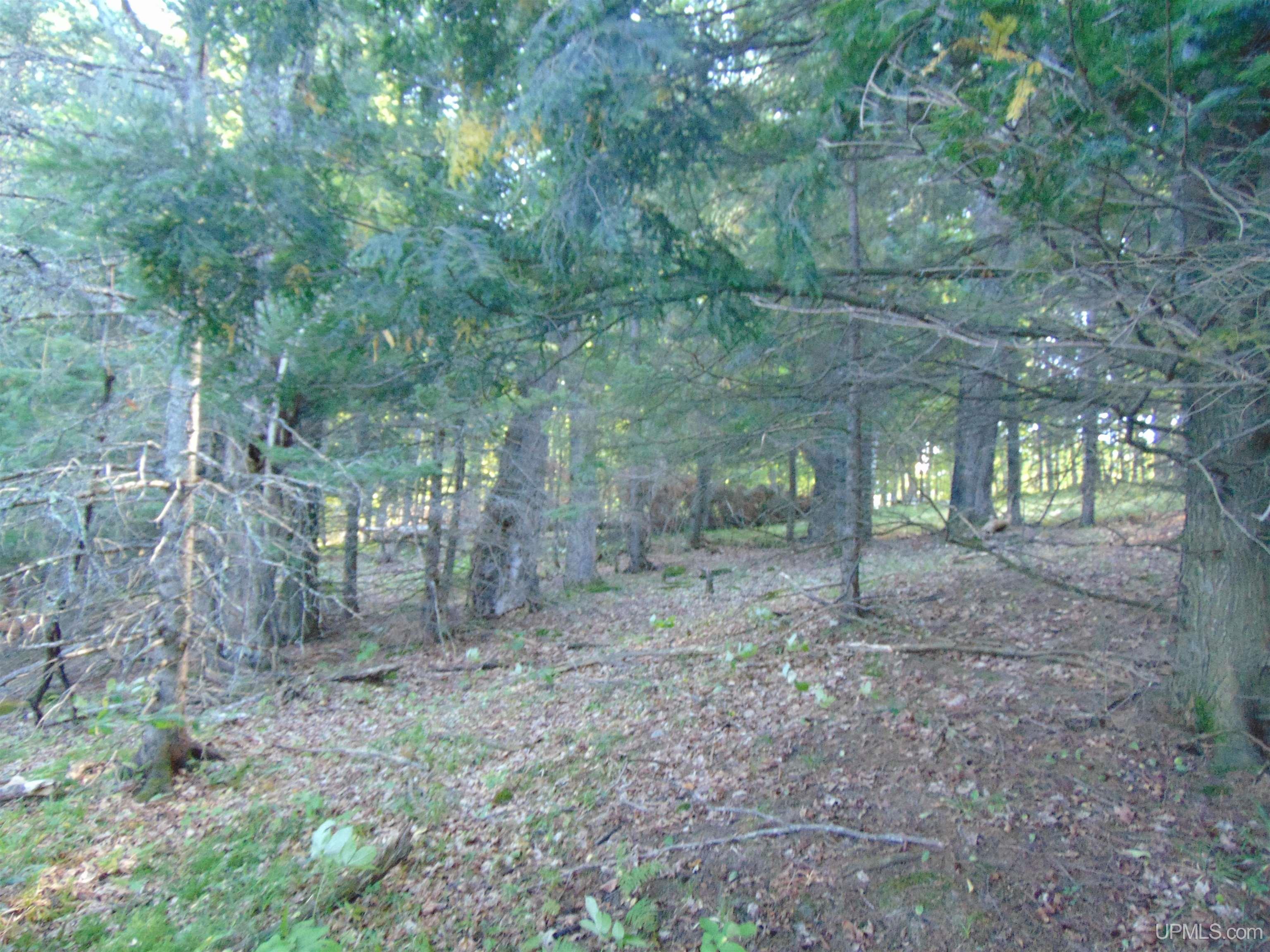 TBD Lot L Wildwood Lake Rd