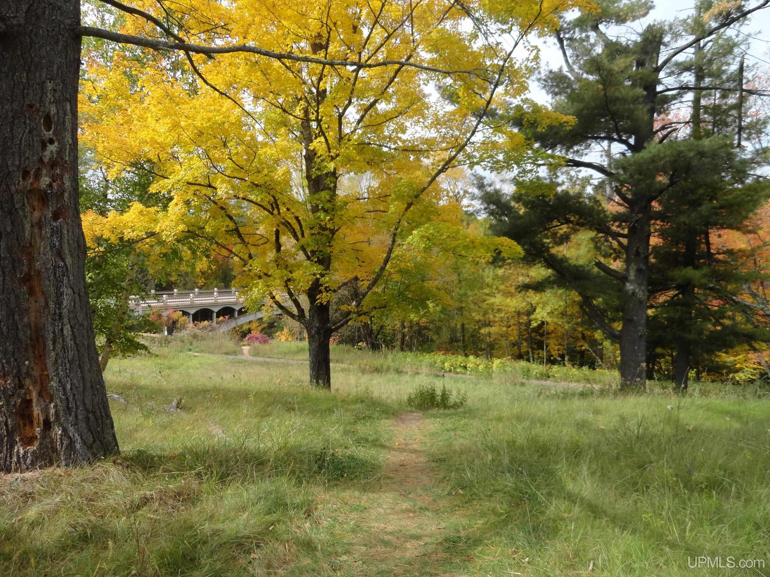 TBD M28 Trout Creek, MI MLS50093098 Great Lakes and Land