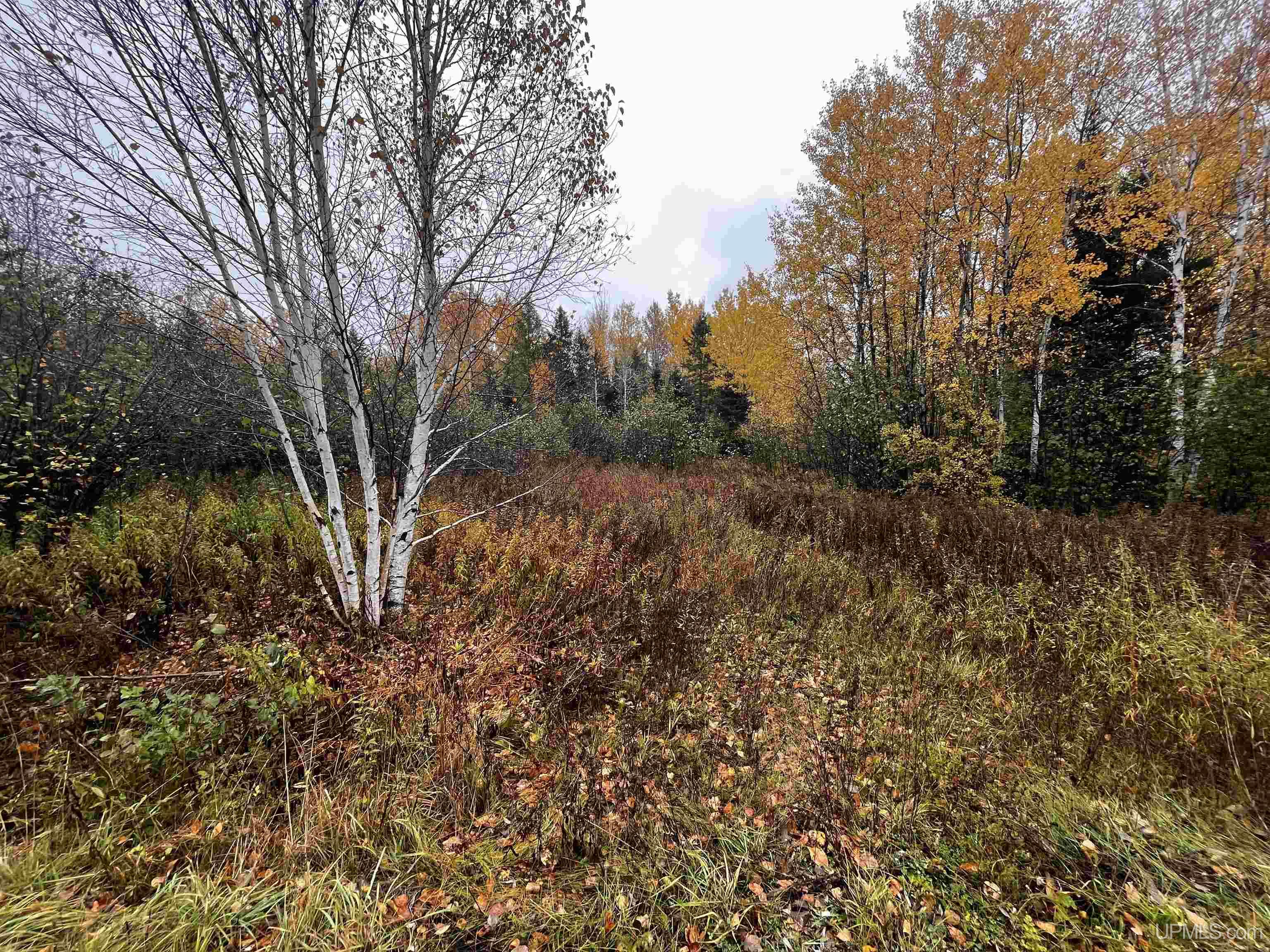 TBD35 Mud Creek Road