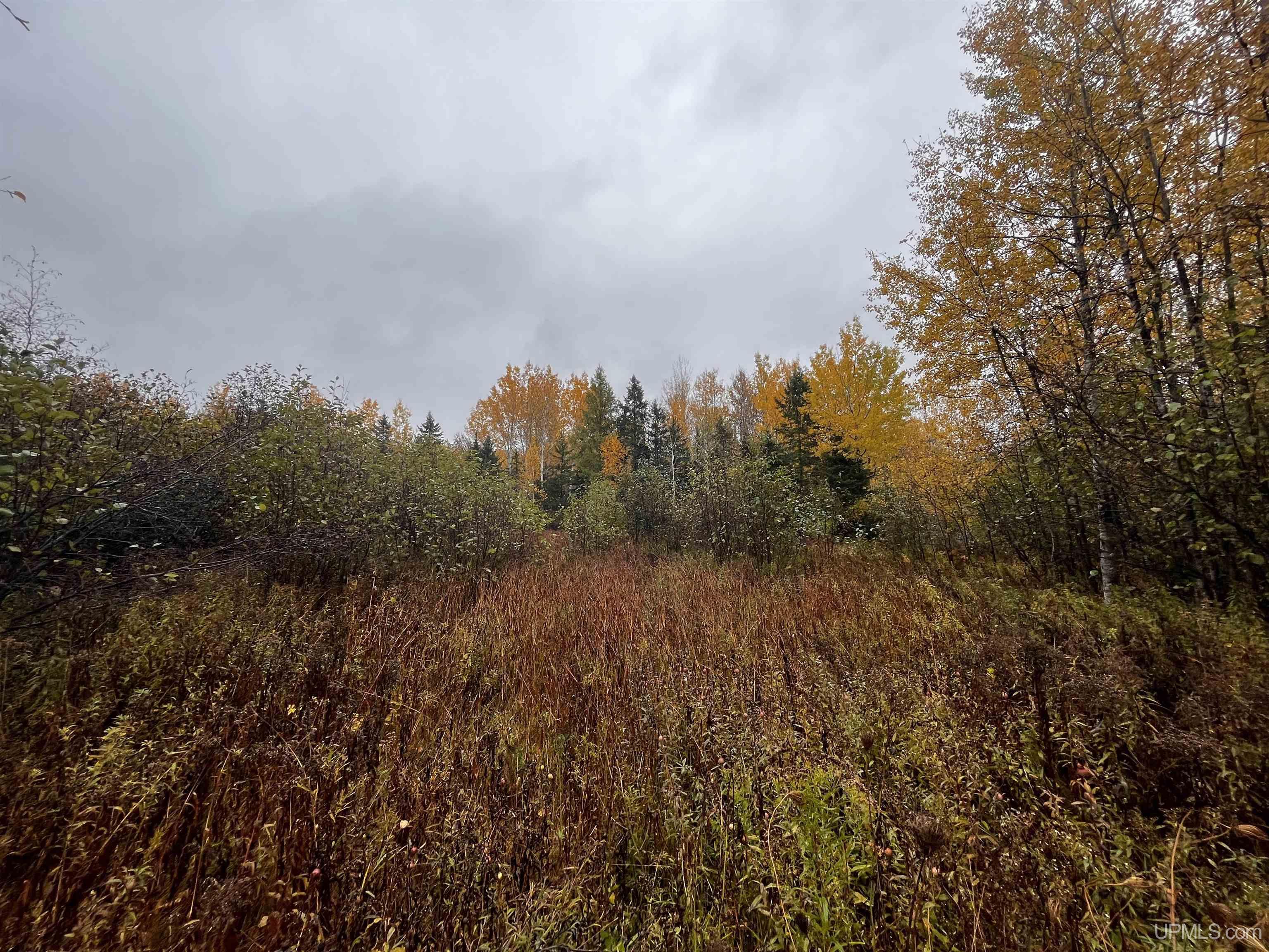 TBD35 Mud Creek Road