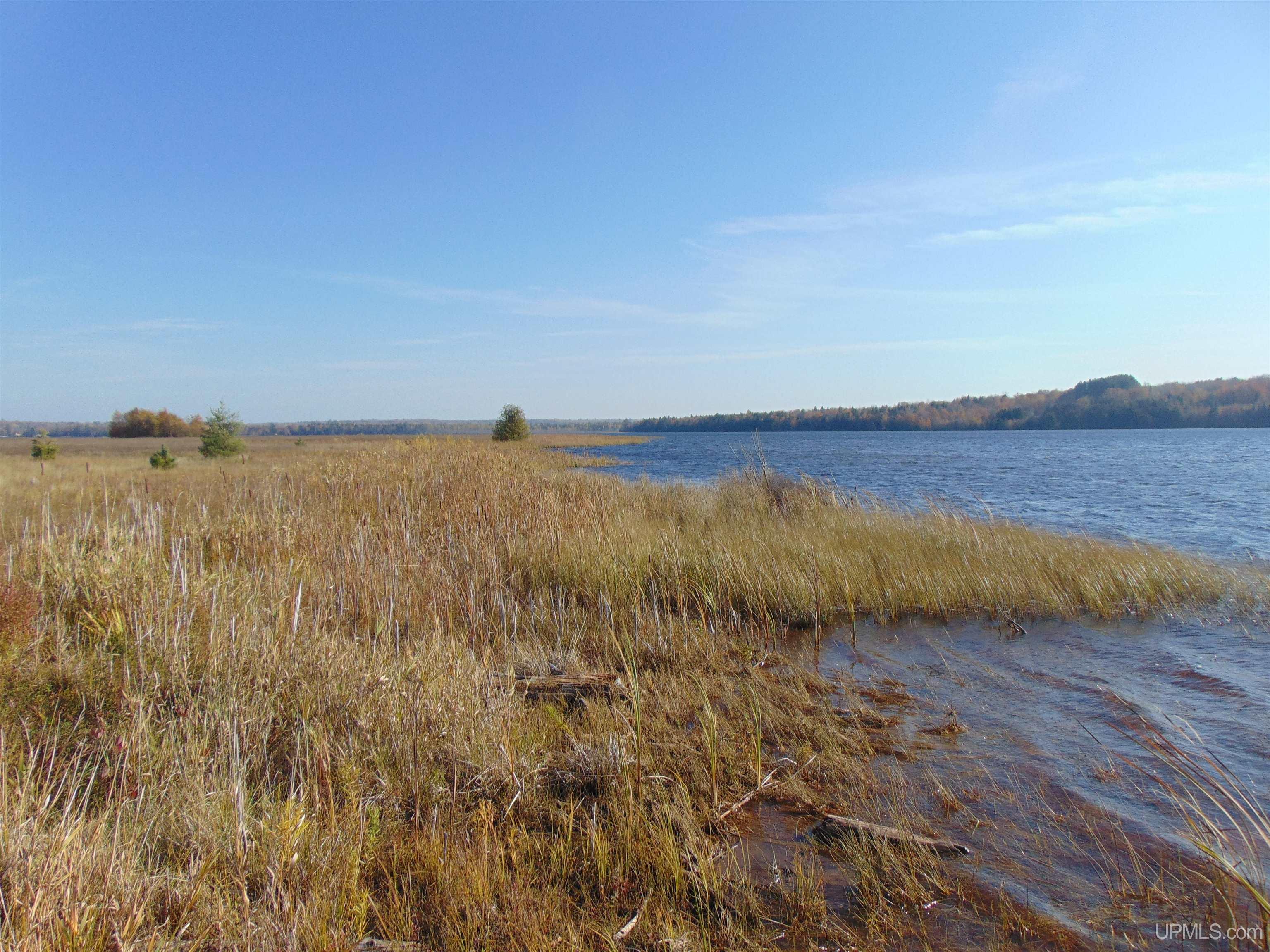 TBD Bald Eagle Dr