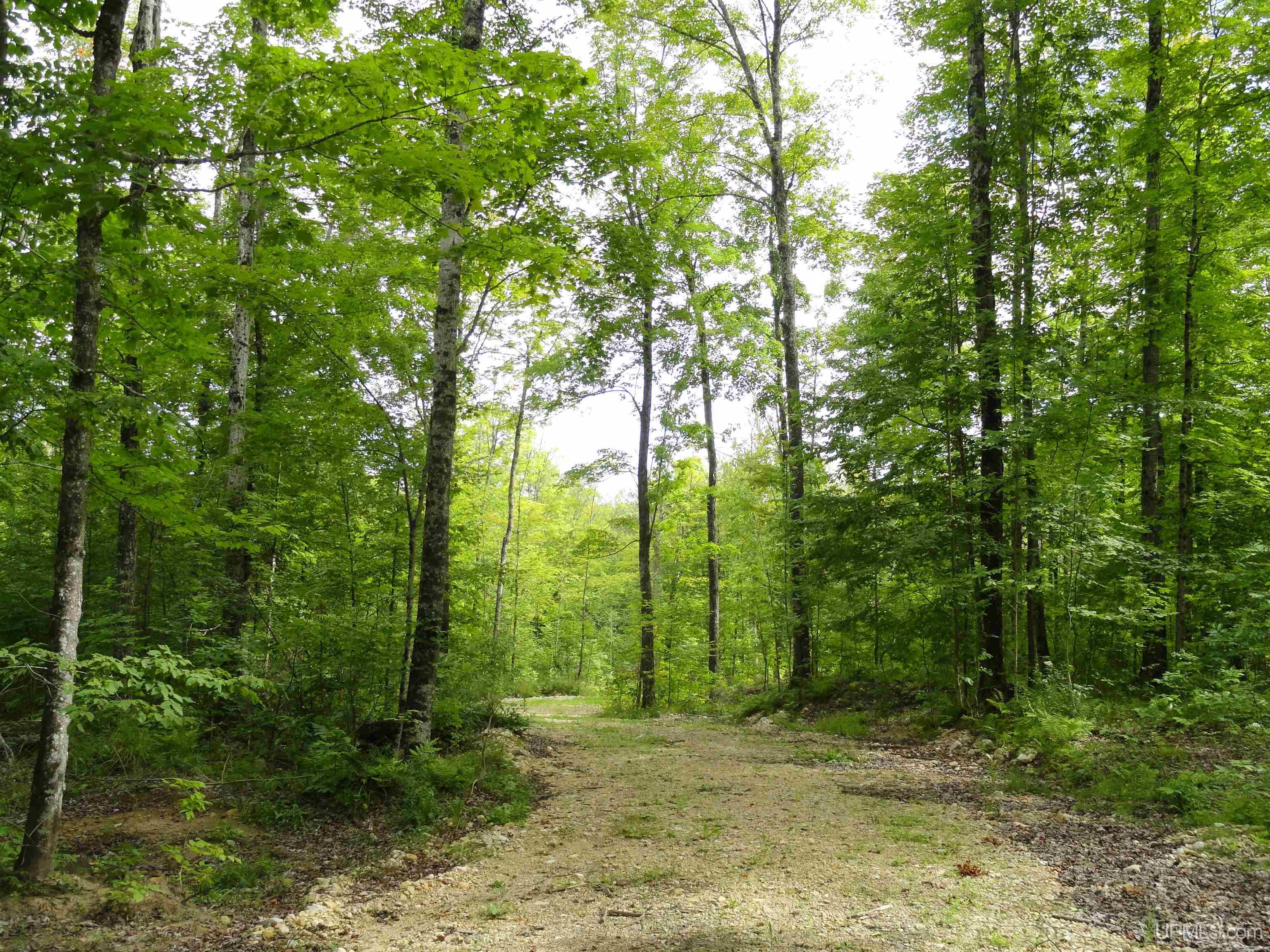 80 acres SW Wells