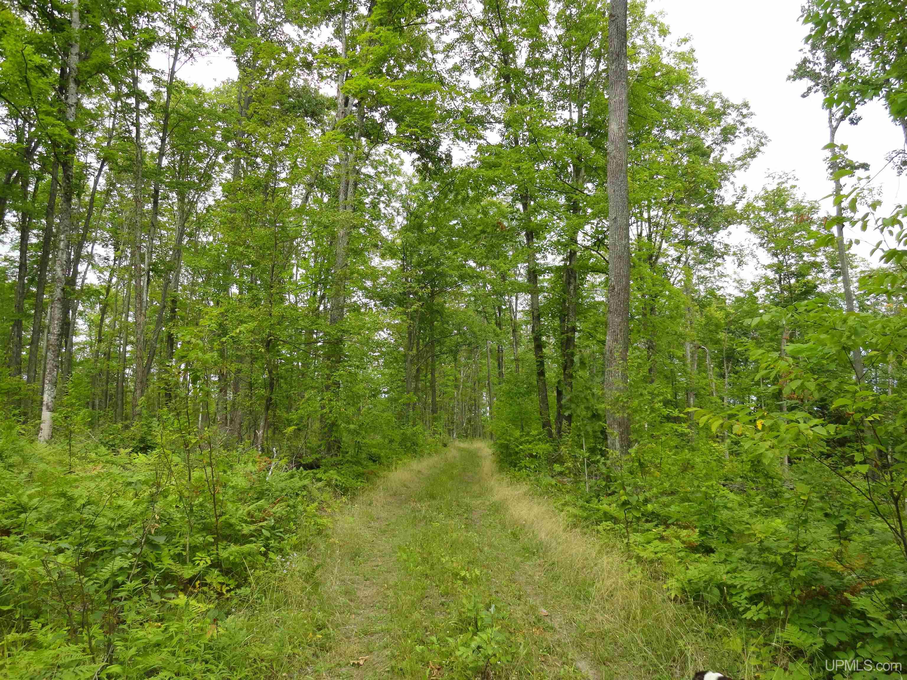 80 acres SW Wells