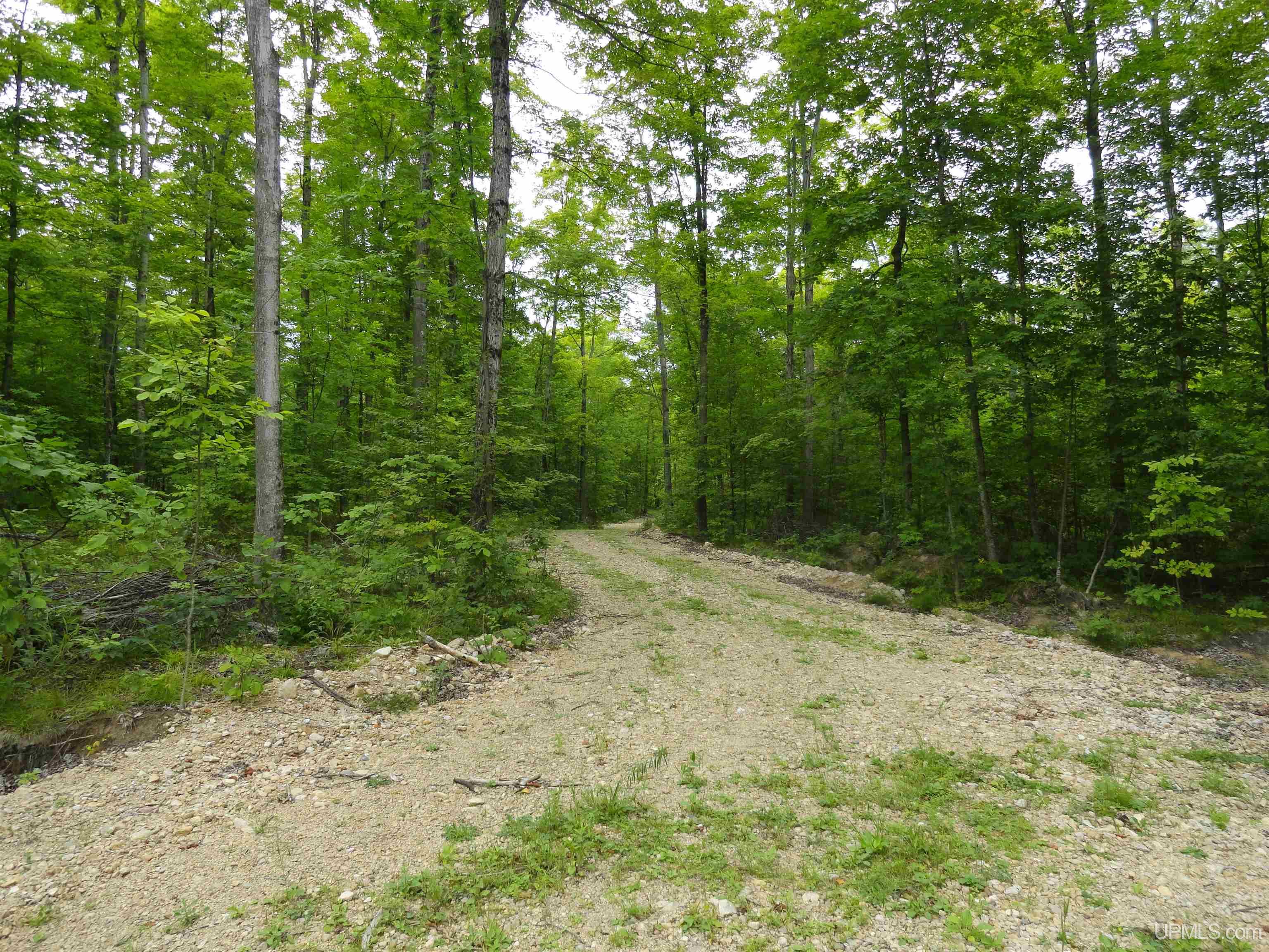 80 acres SW Wells