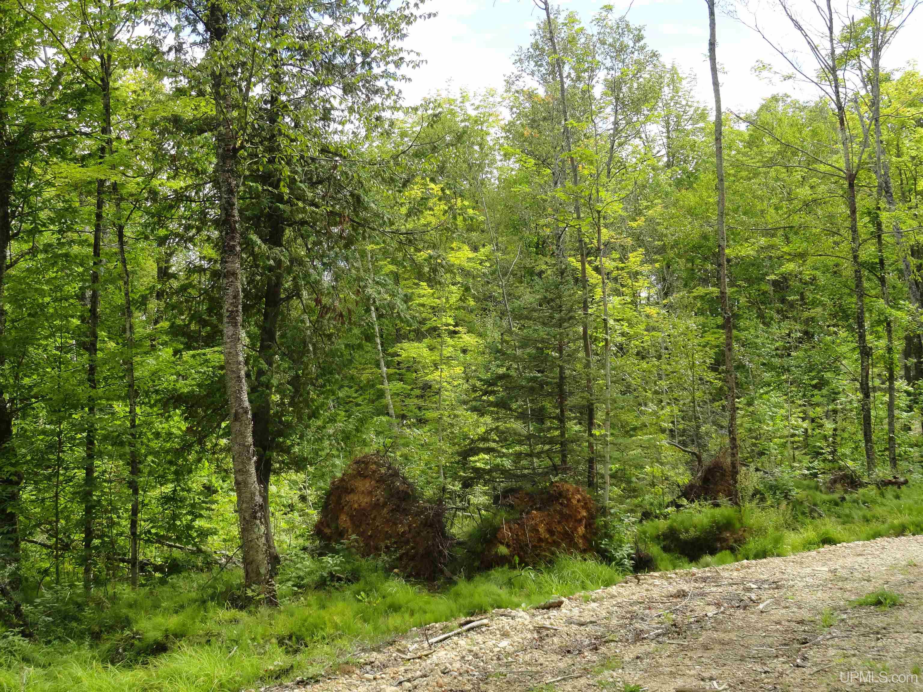 80 acres SW Wells