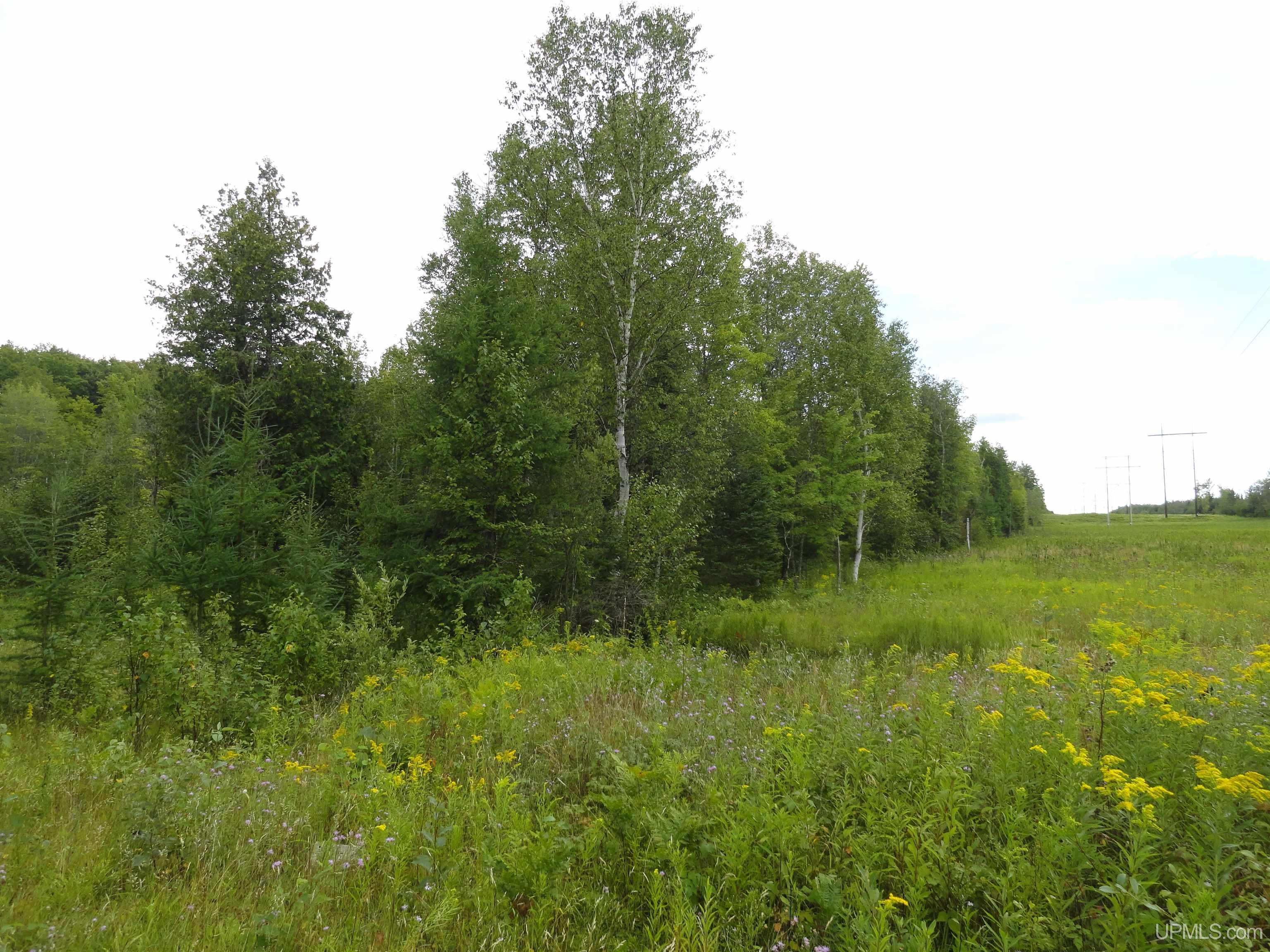 80 acres SW Wells