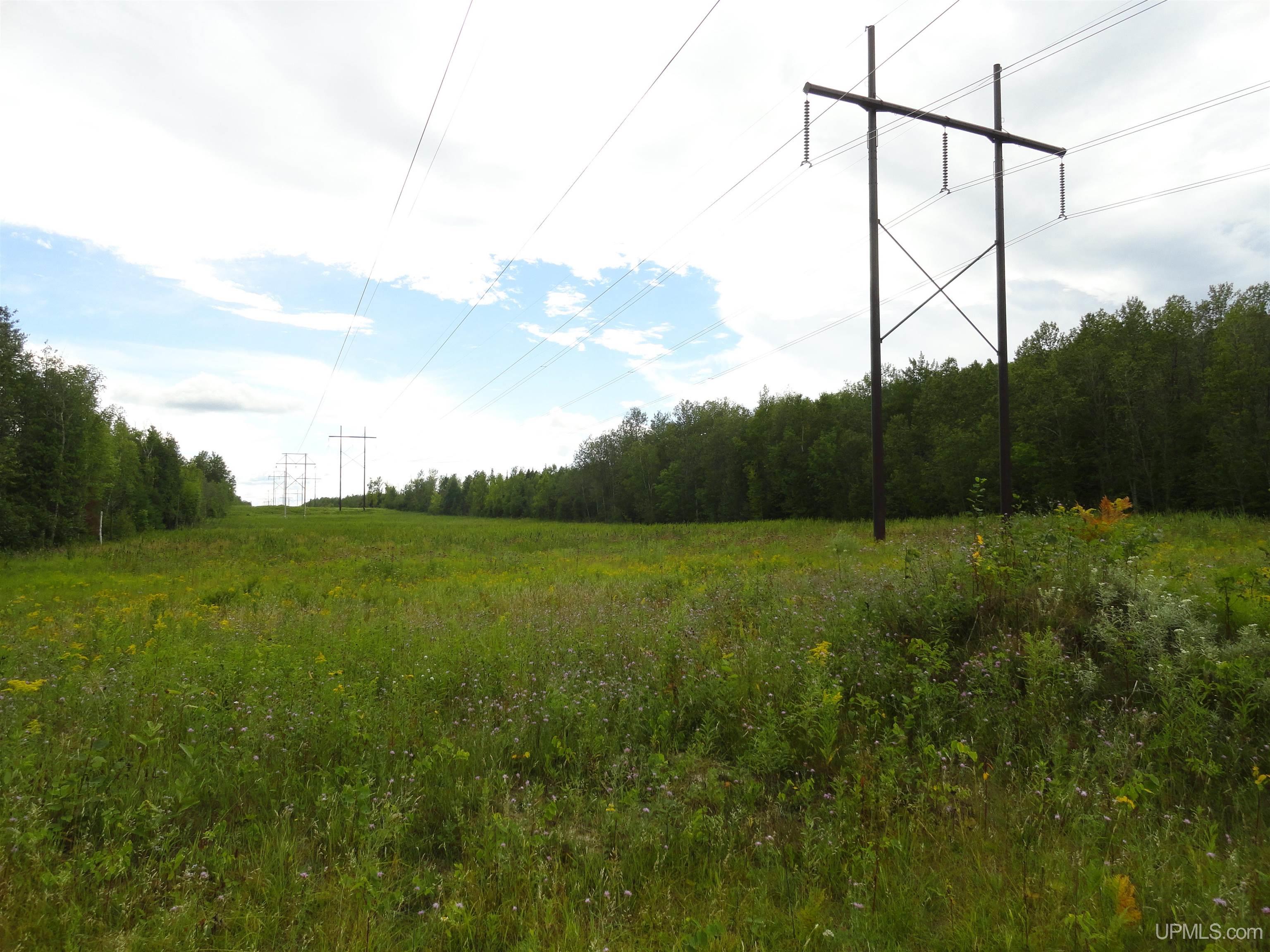 80 acres SW Wells
