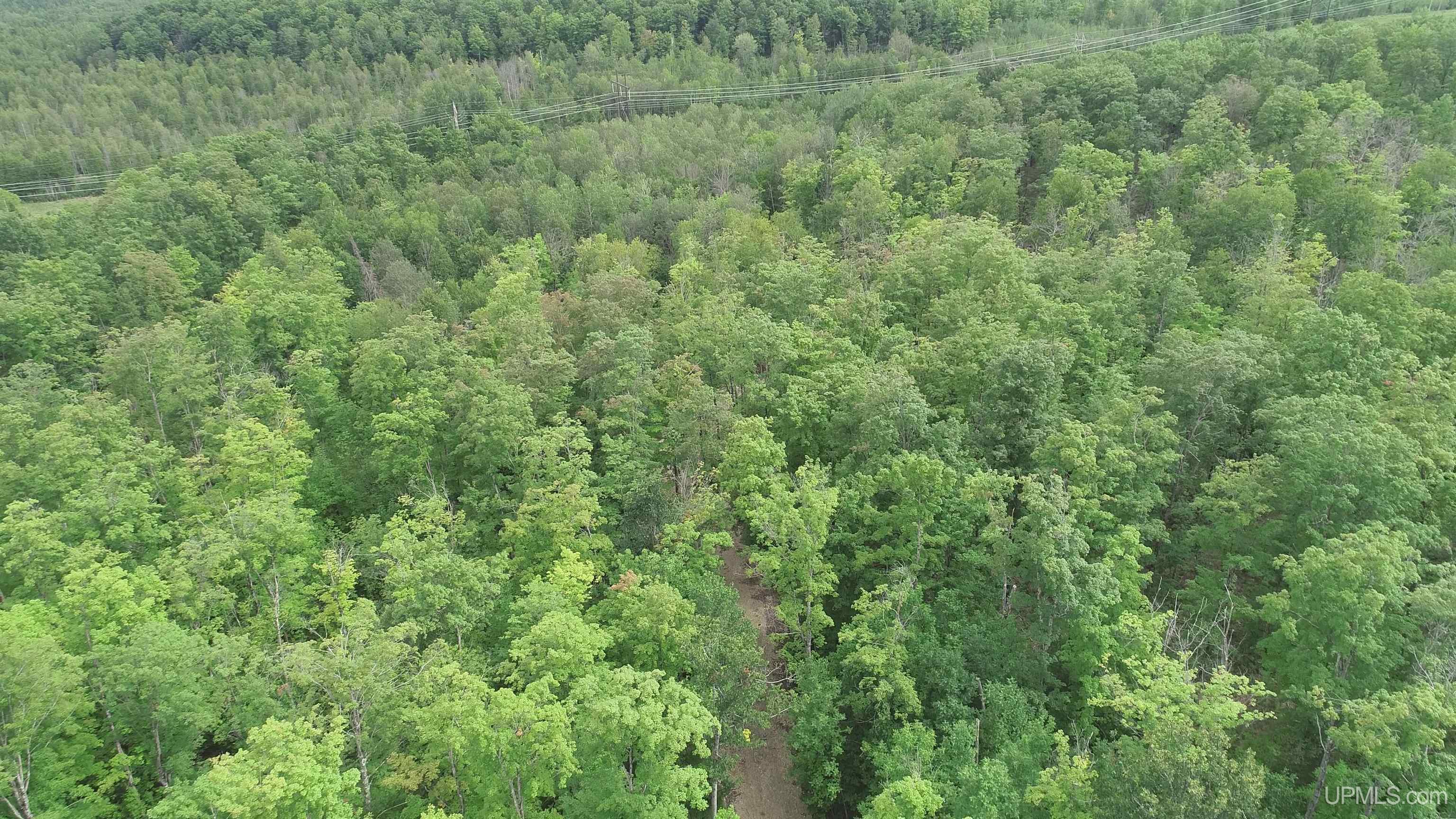 80 acres SW Wells