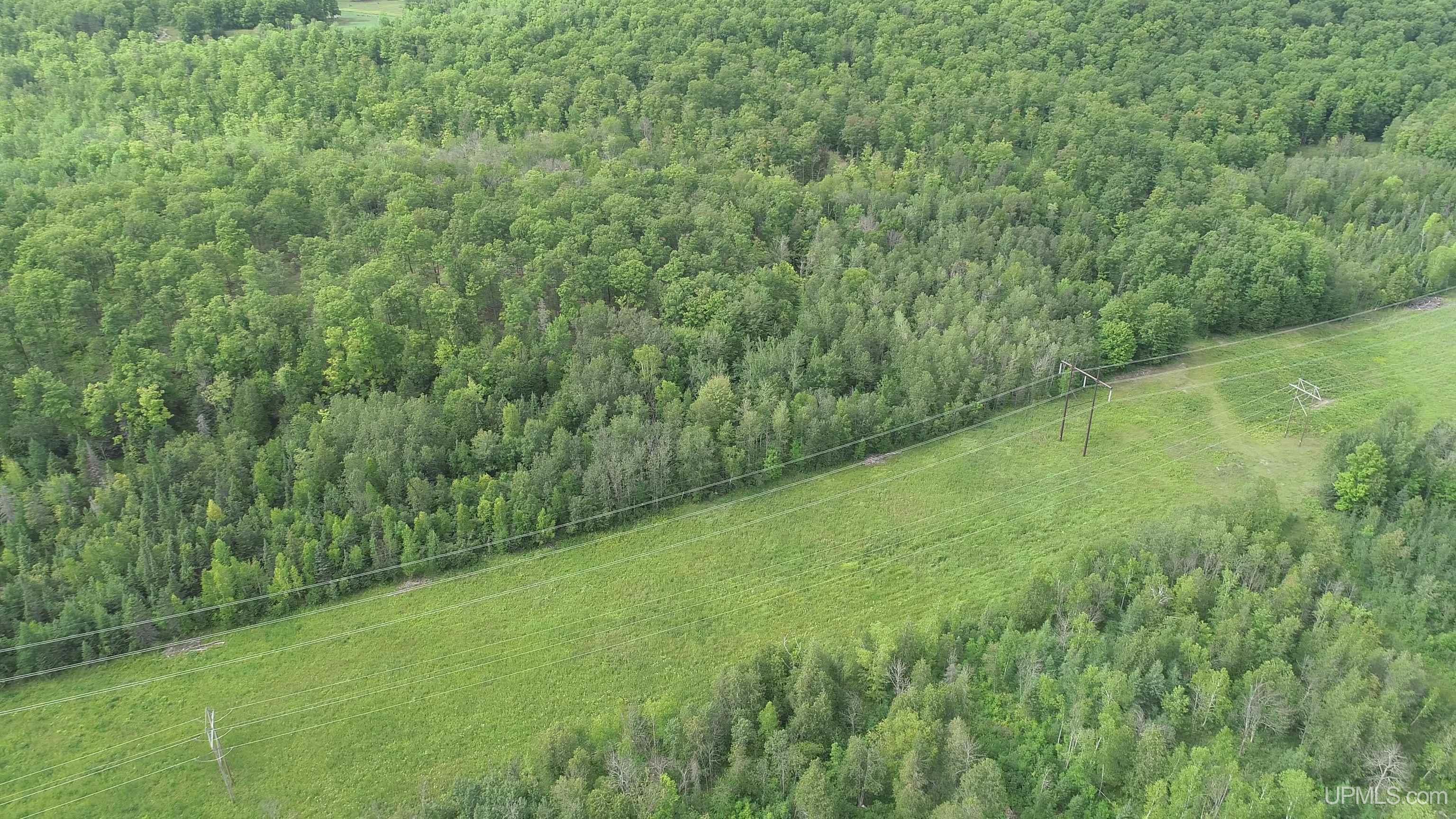 80 acres SW Wells