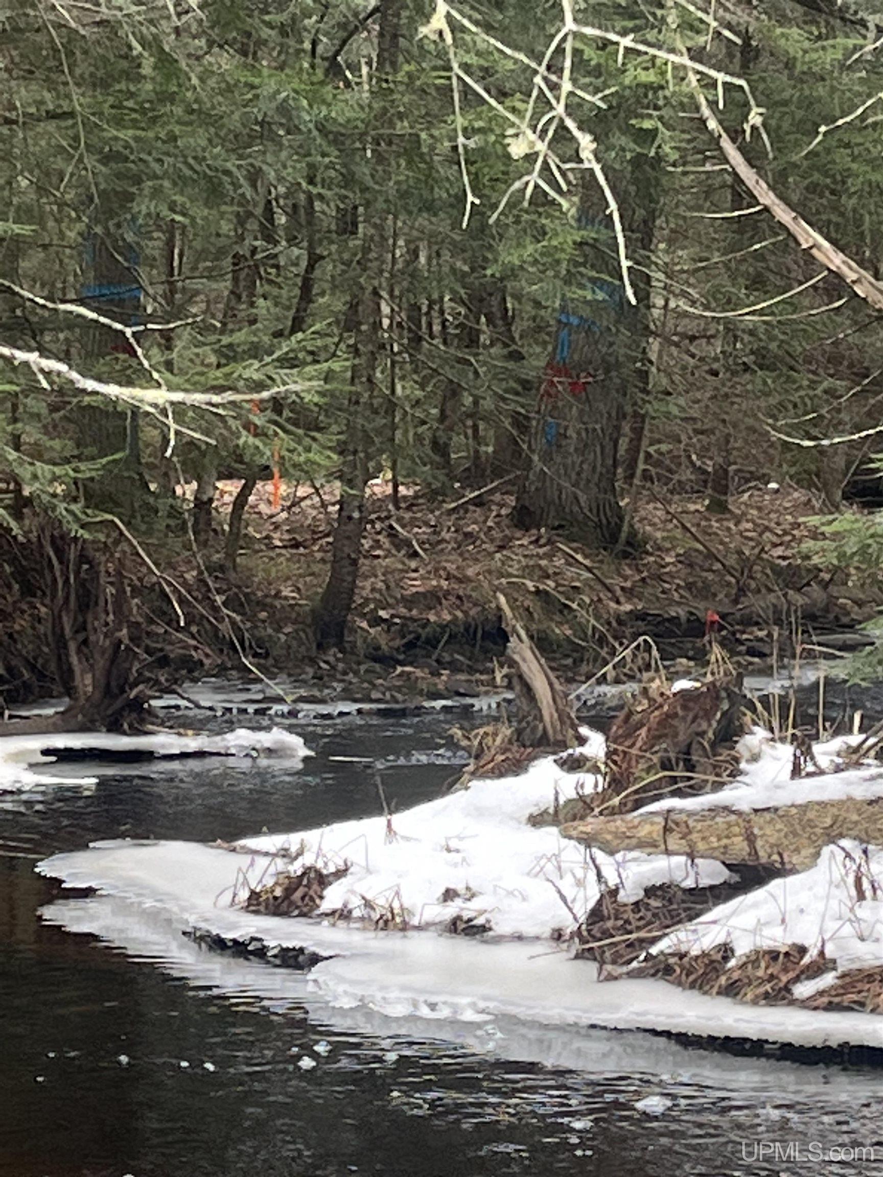45 Acres Little Lake Rd