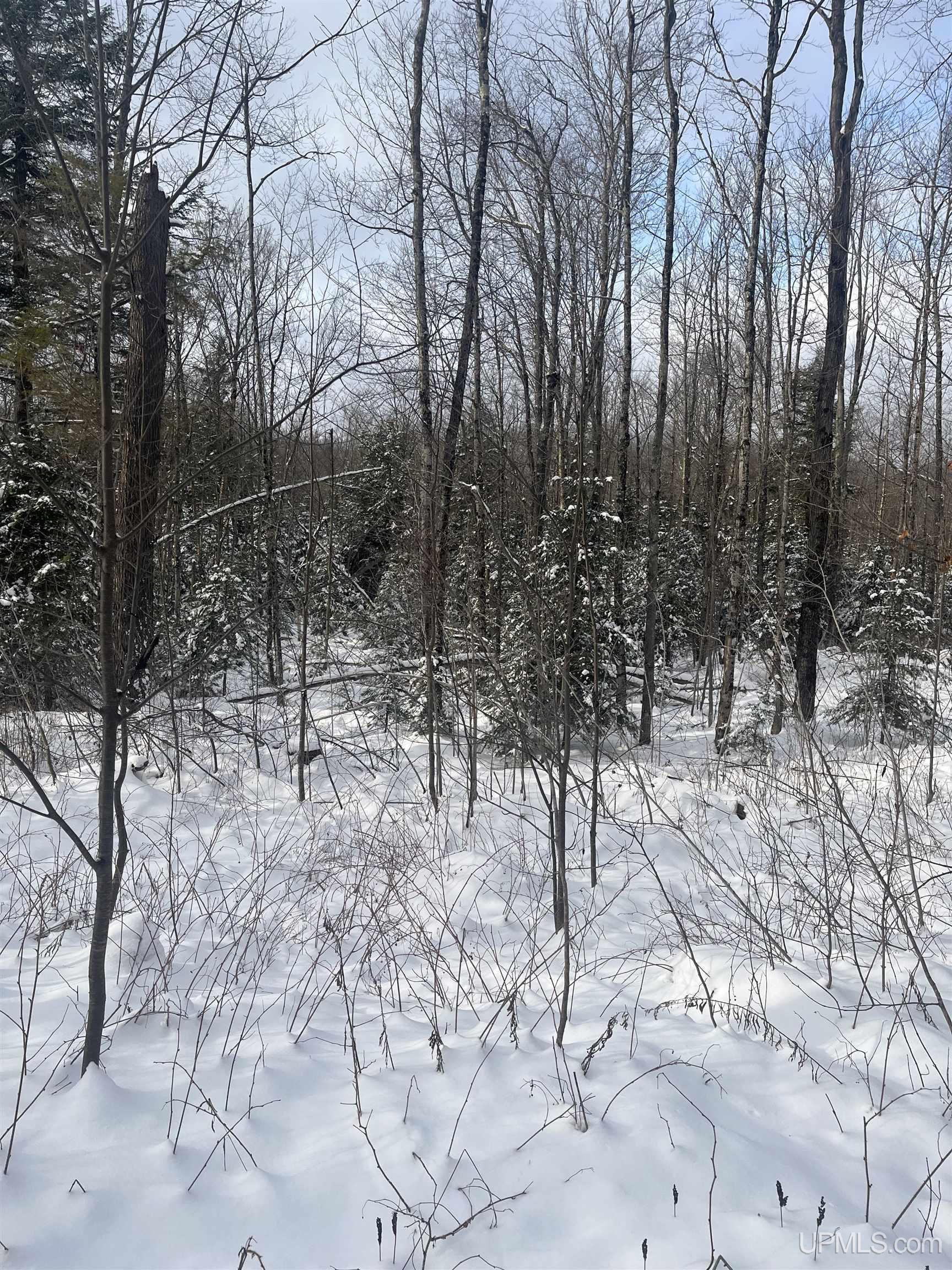 45 Acres Little Lake Rd
