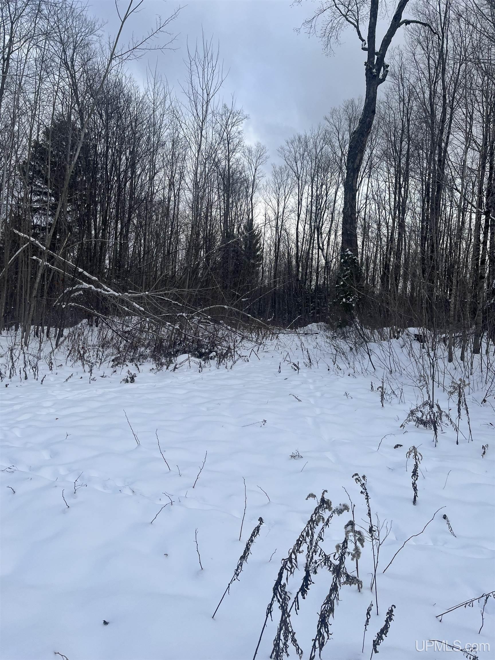 45 Acres Little Lake Rd