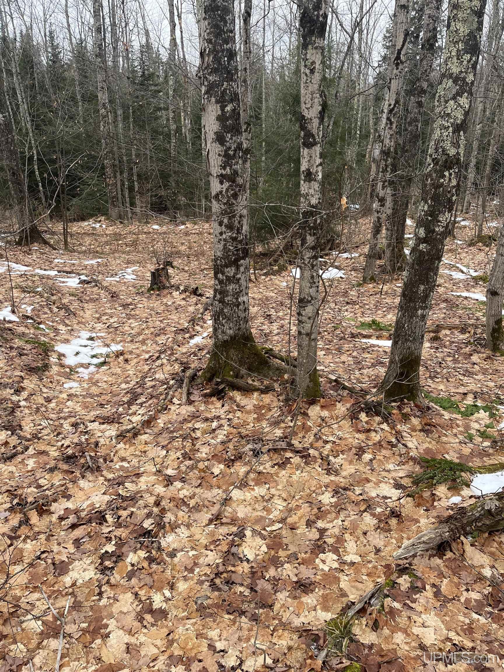 45 Acres Little Lake Rd