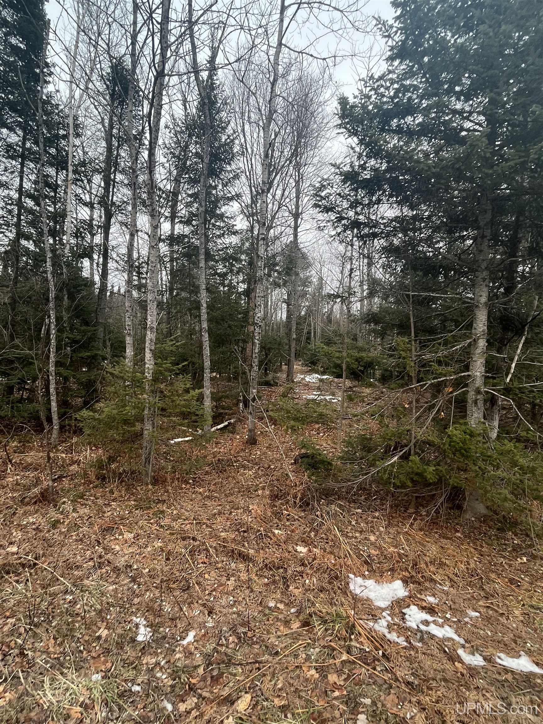 45 Acres Little Lake Rd