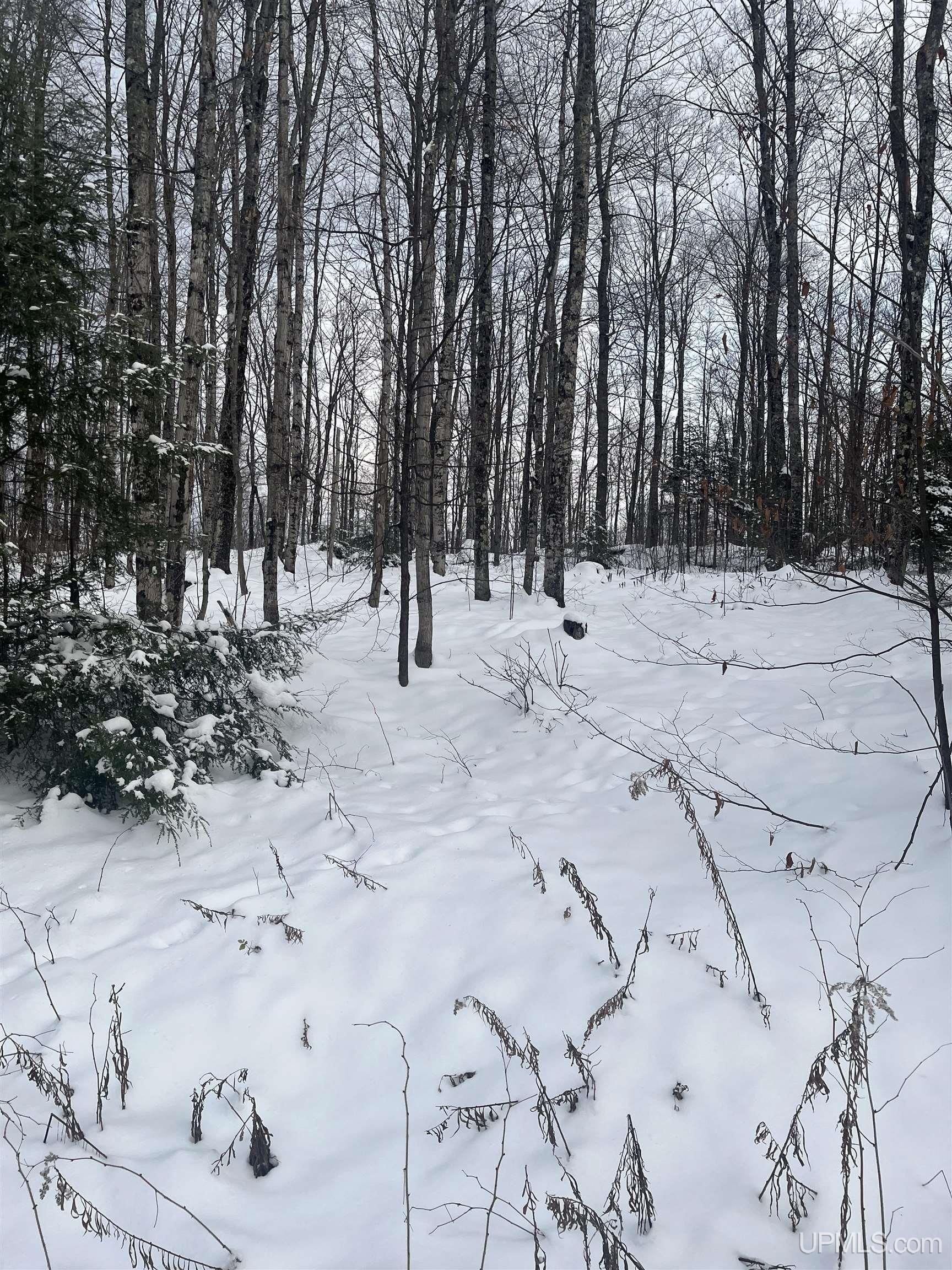 45 Acres Little Lake Rd