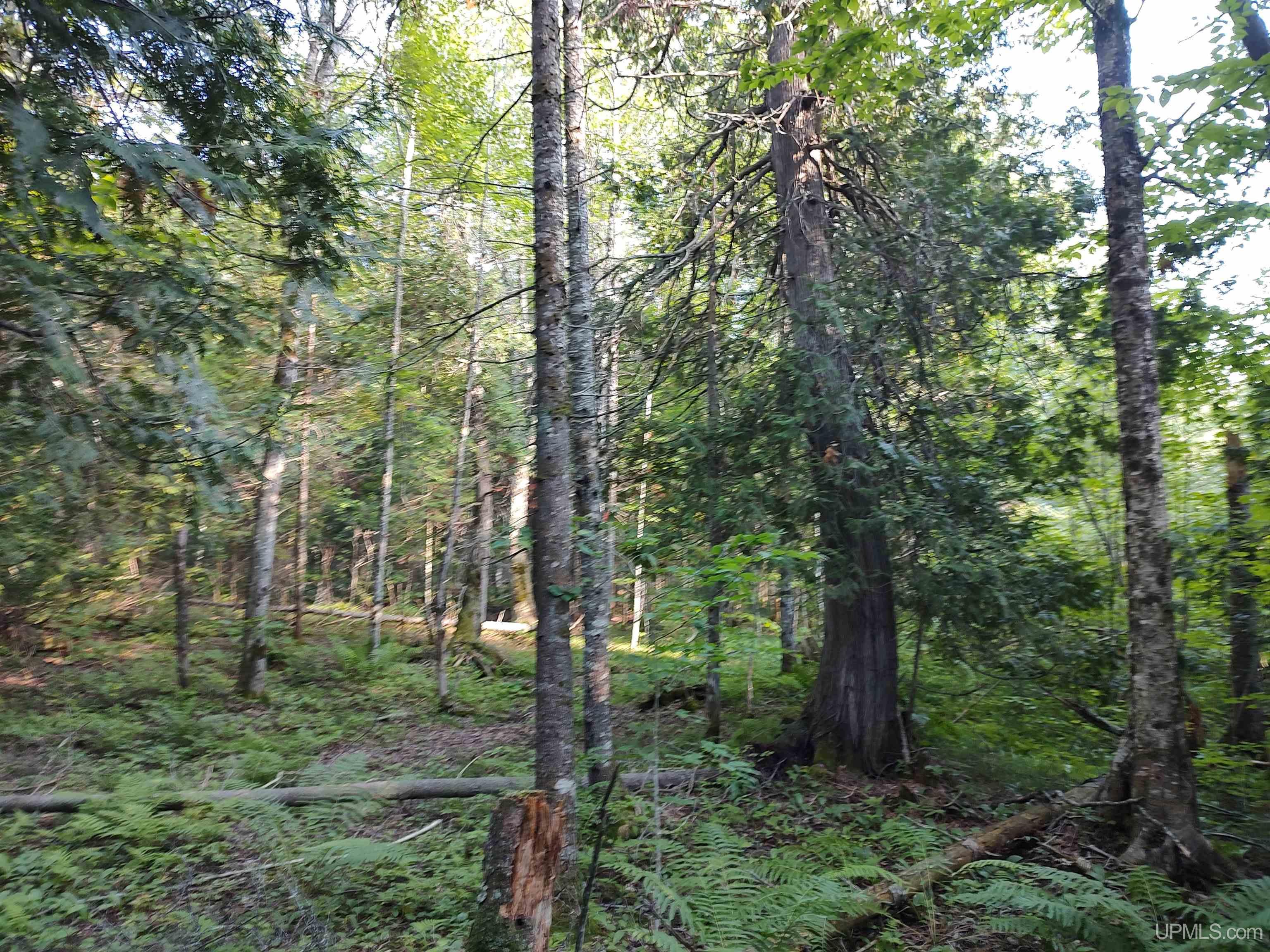 14 Acres Spring Trail