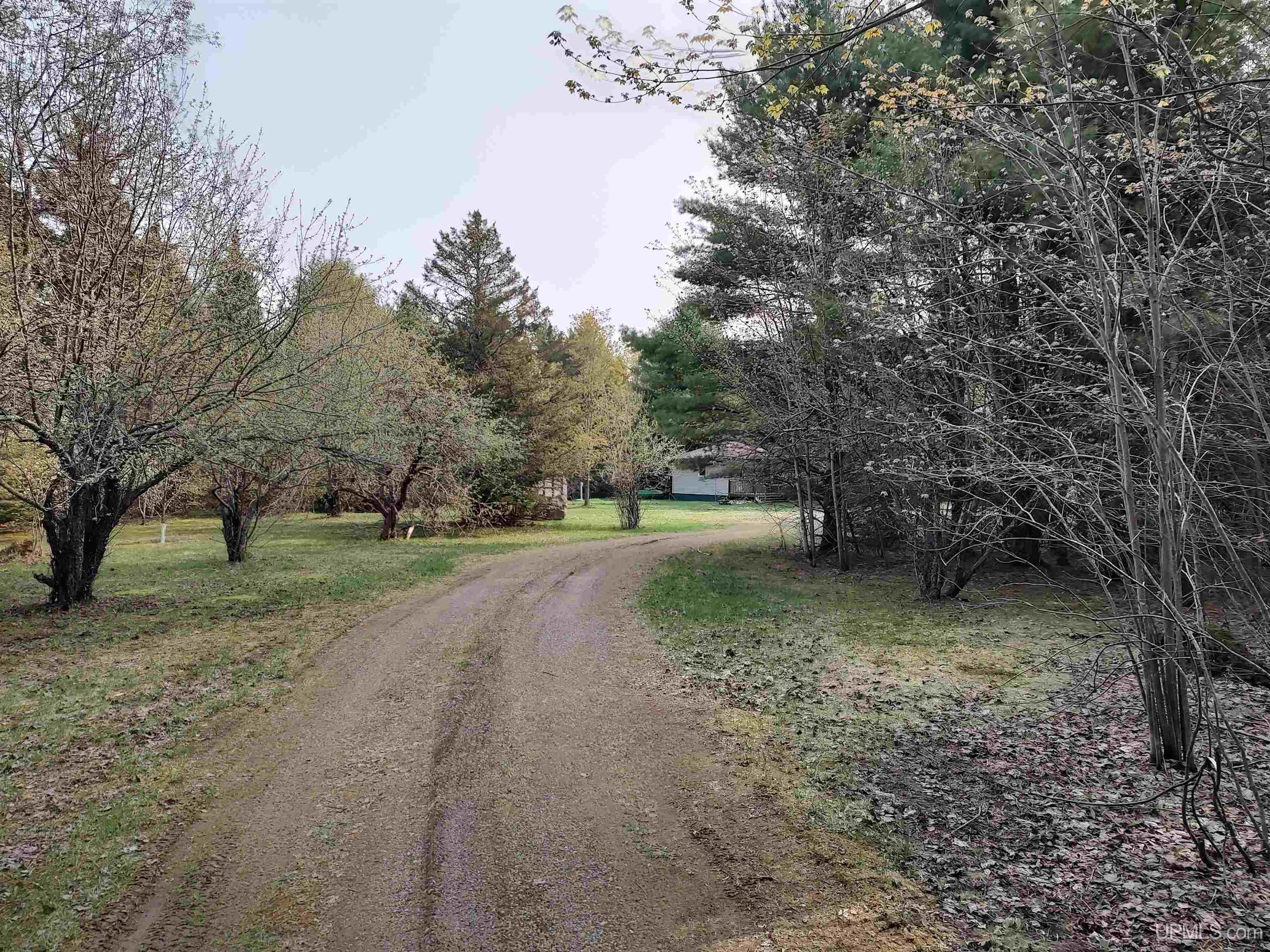 503 Selma Road