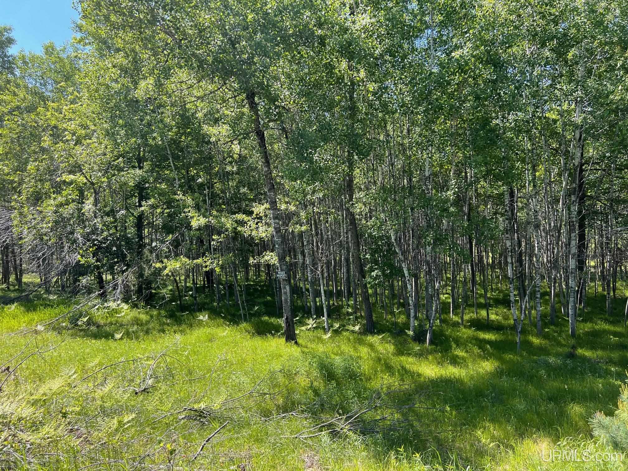 Land for sale in Iron Mountain, Michigan, 50098269