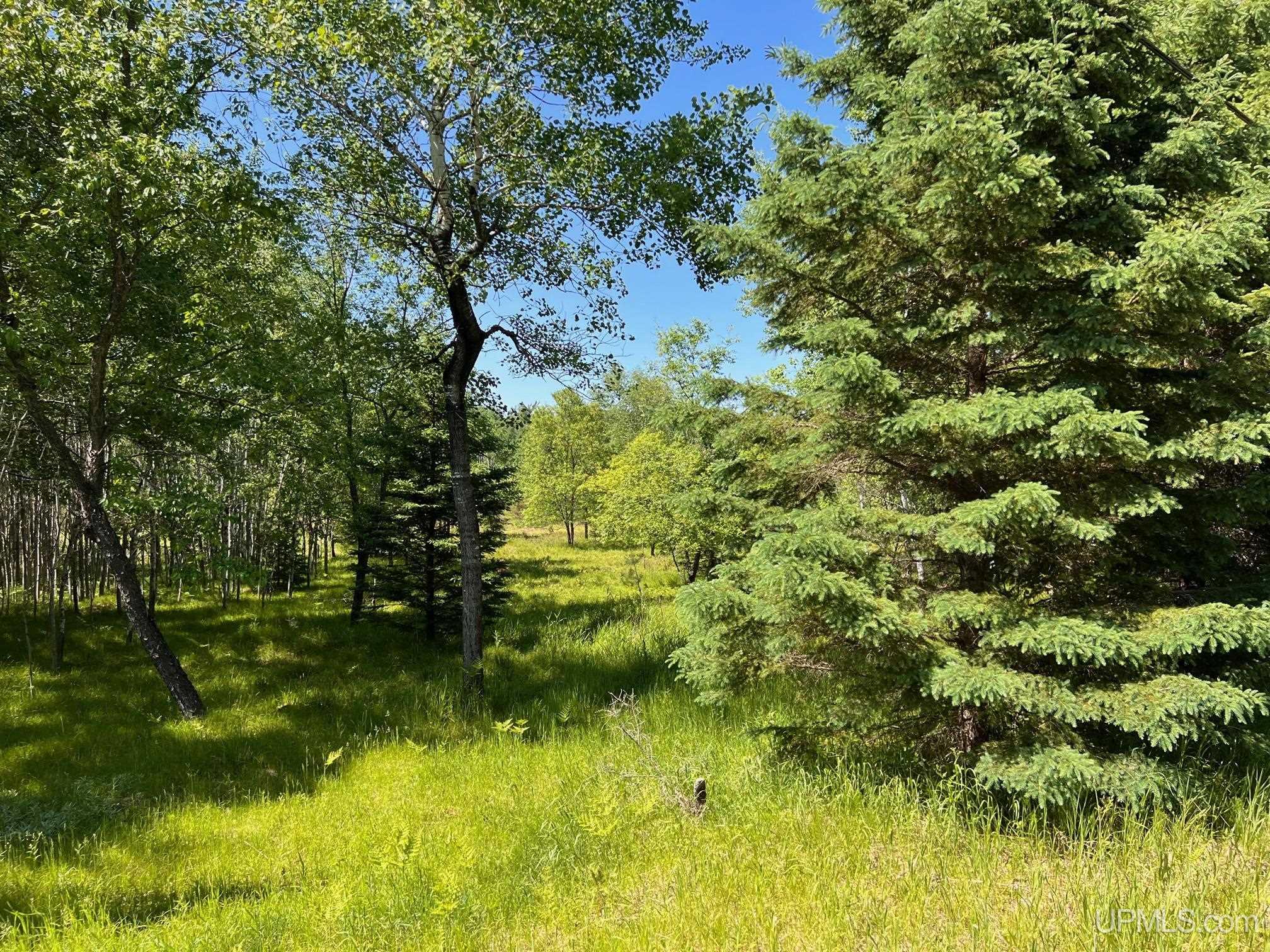 Land for sale in Iron Mountain, Michigan, 50098269