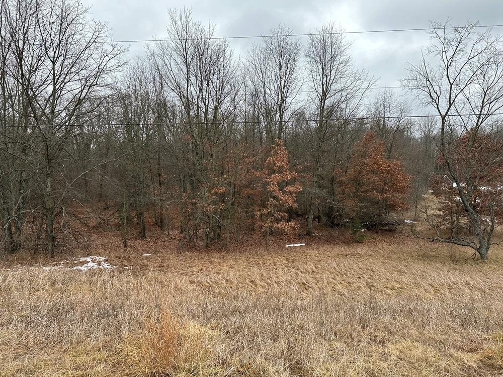 Harrison Michigan Vacant Acreage