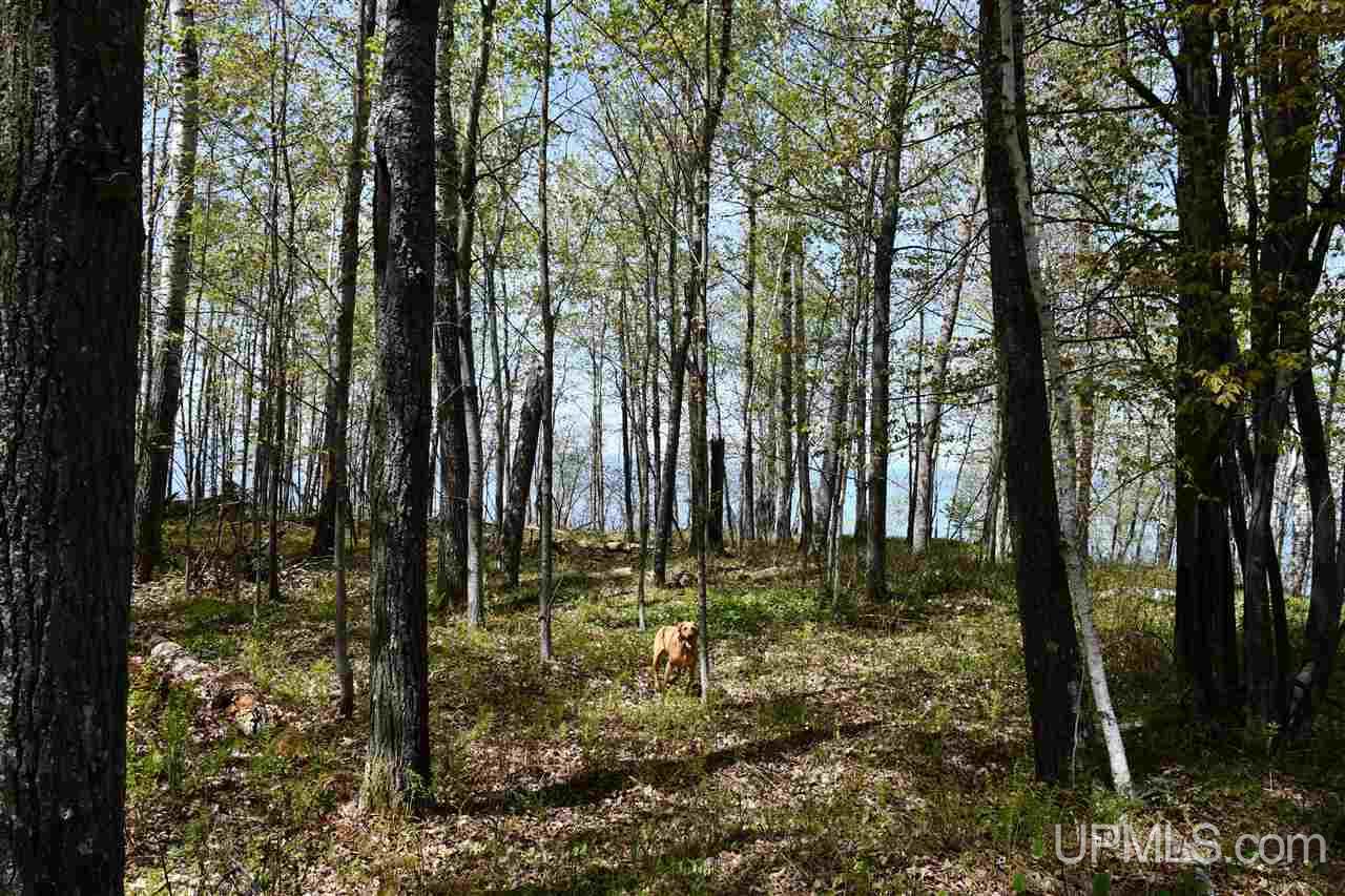 TBD-lot 2 Lake Rd (CR505)-Mid lot