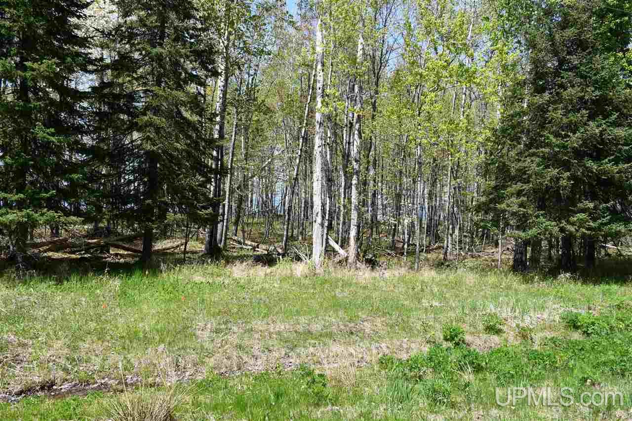 TBD-lot 2 Lake Rd (CR505)-Mid lot