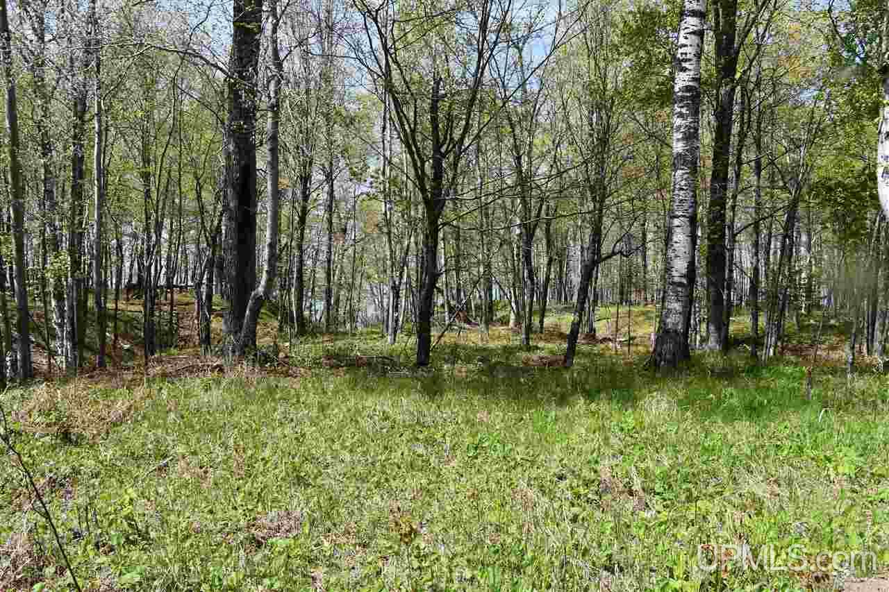 TBD-lot 2 Lake Rd (CR505)-Mid lot